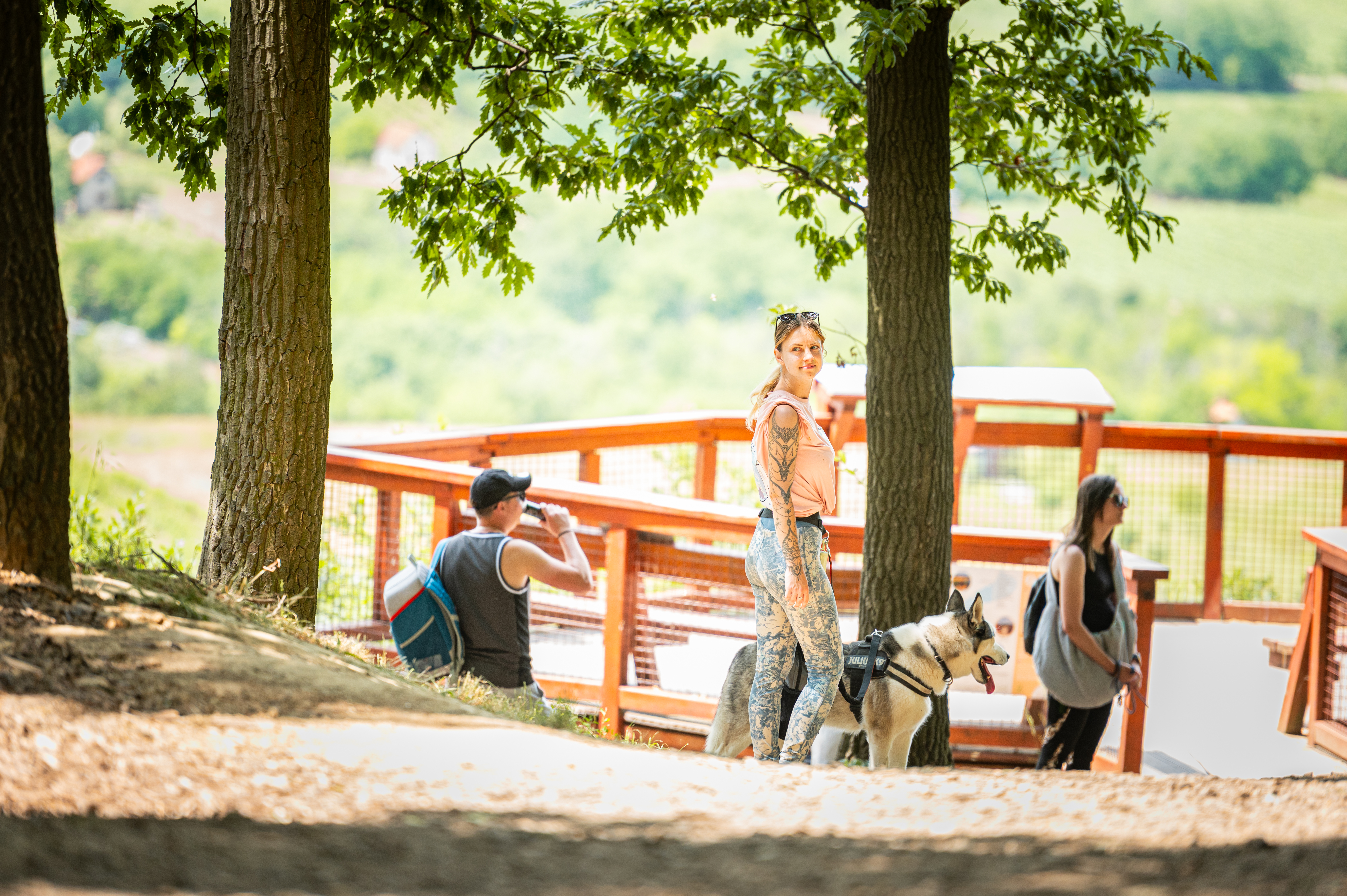 Kutyás Élmény Túrák Balatonlelle Kishegyen