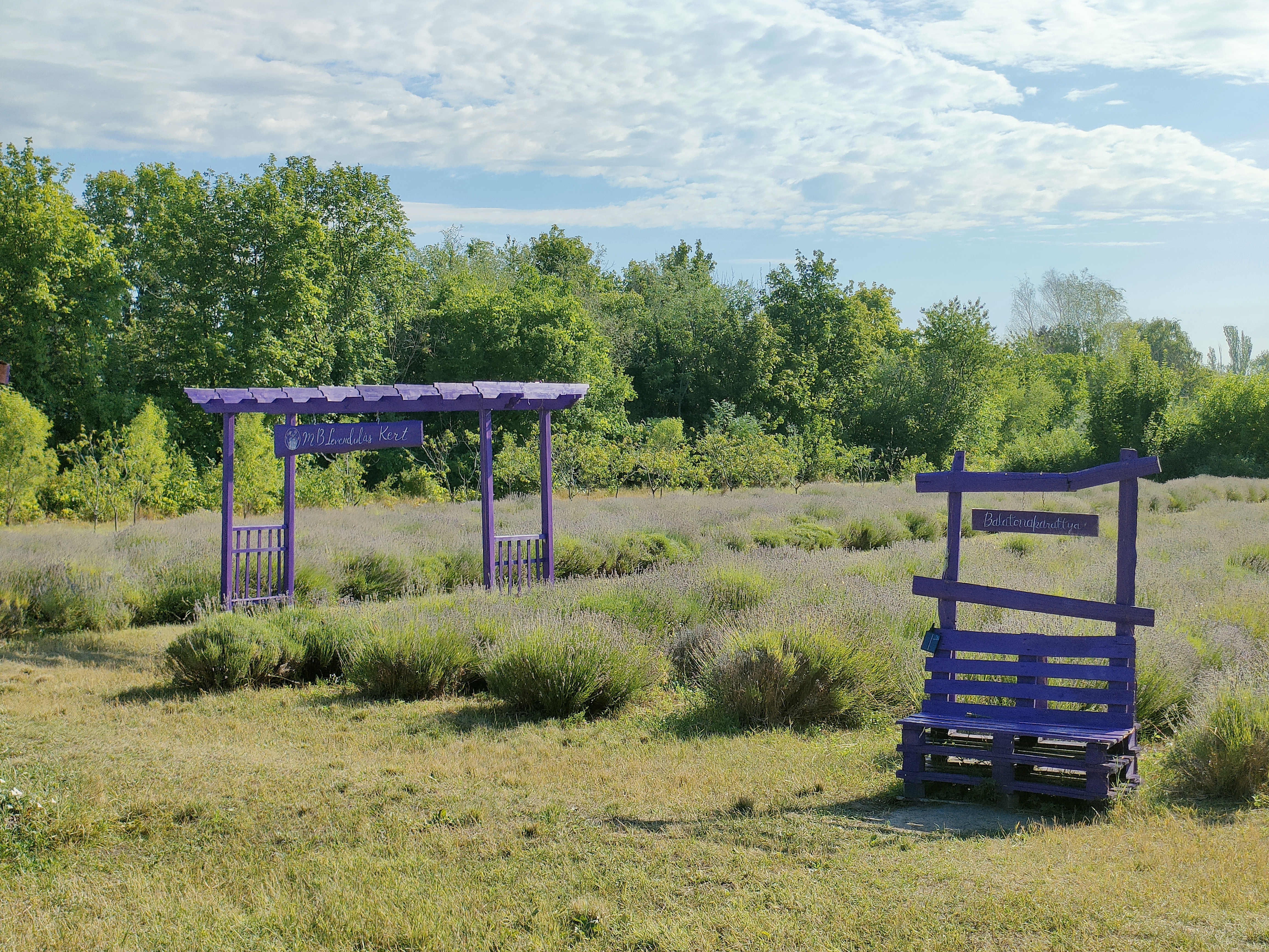 Gyönyörű kilátás a Balatonra