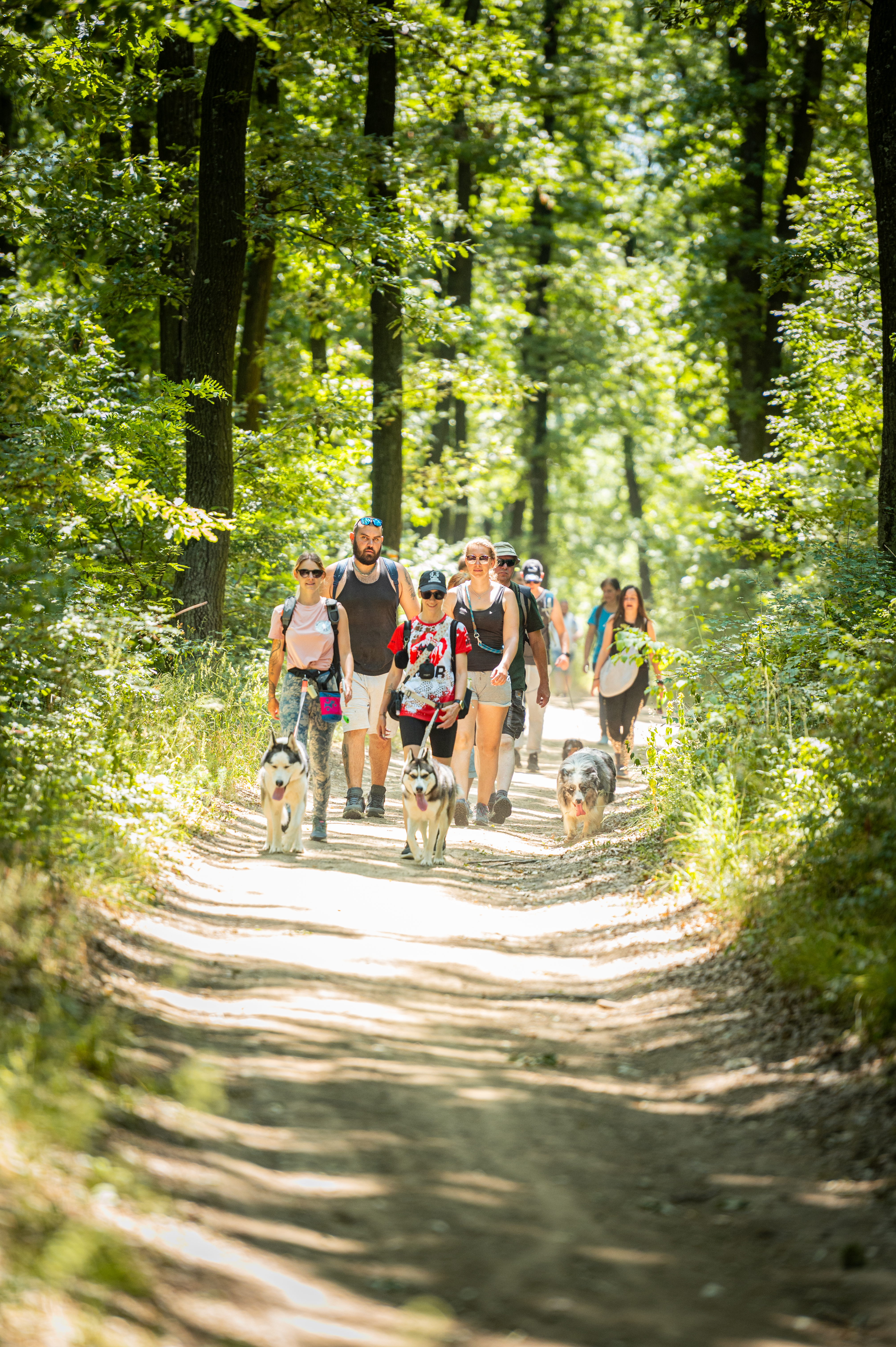 Kutyás Élmény Túrák Balatonlelle Kishegyen