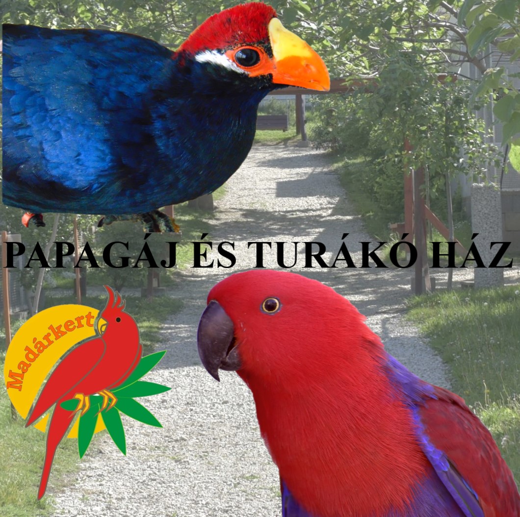 Balatoni Madárkert- díszmadár és kisállatpark