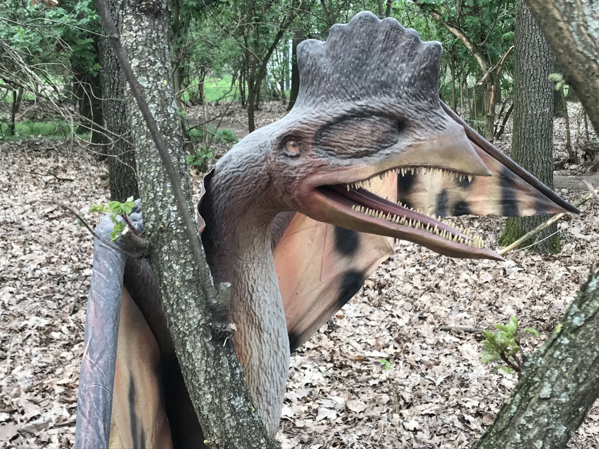 Tisza-tavi Dinó Park