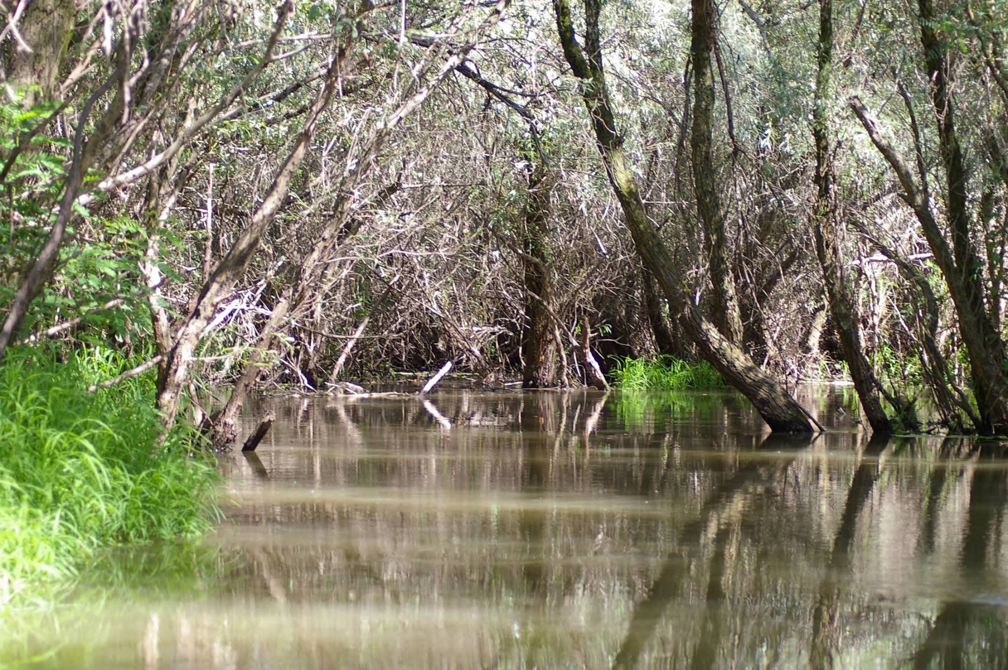 Madárrezervátumi csónaktúrák