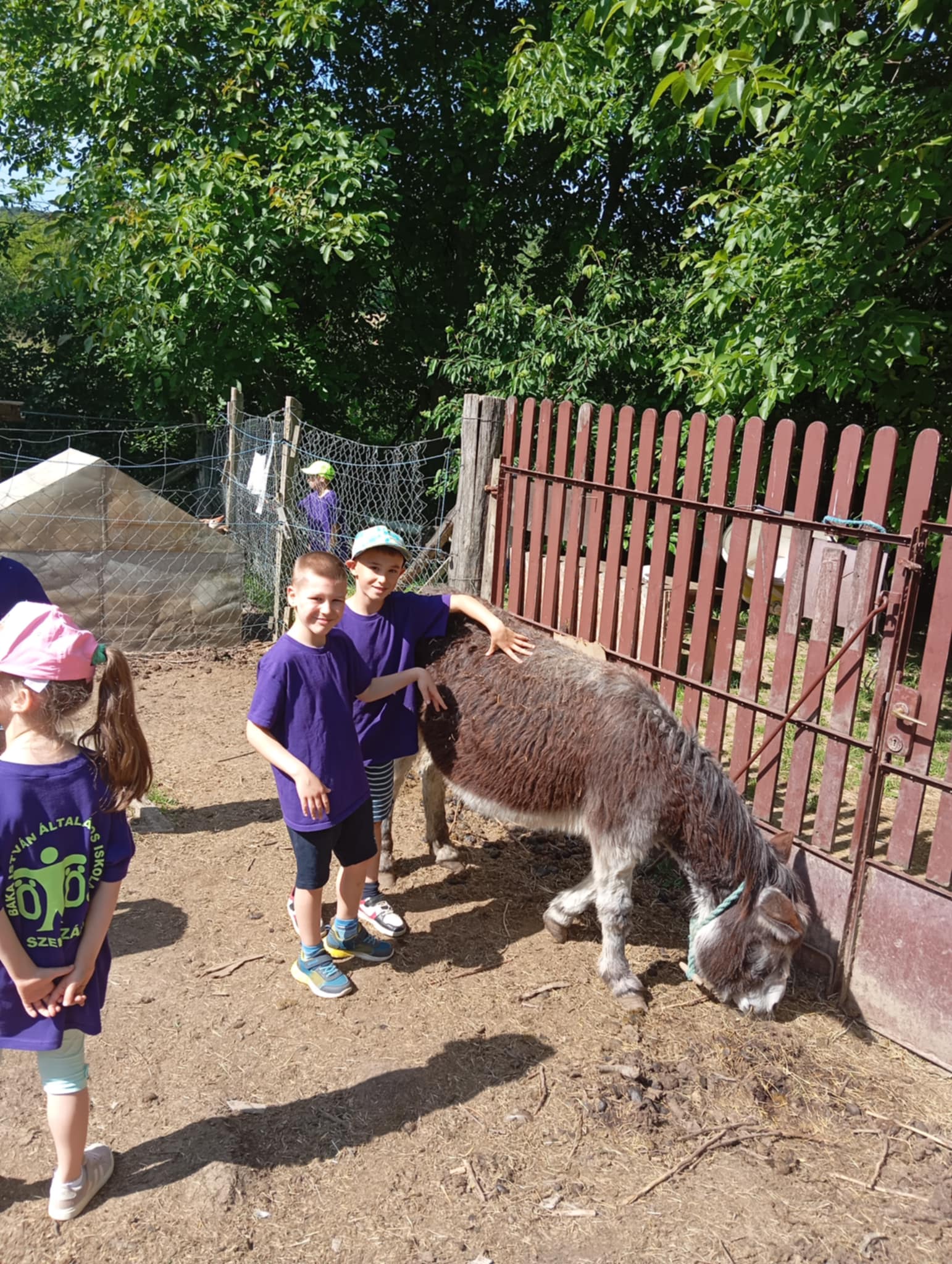 Pöttöm Vidéki Park