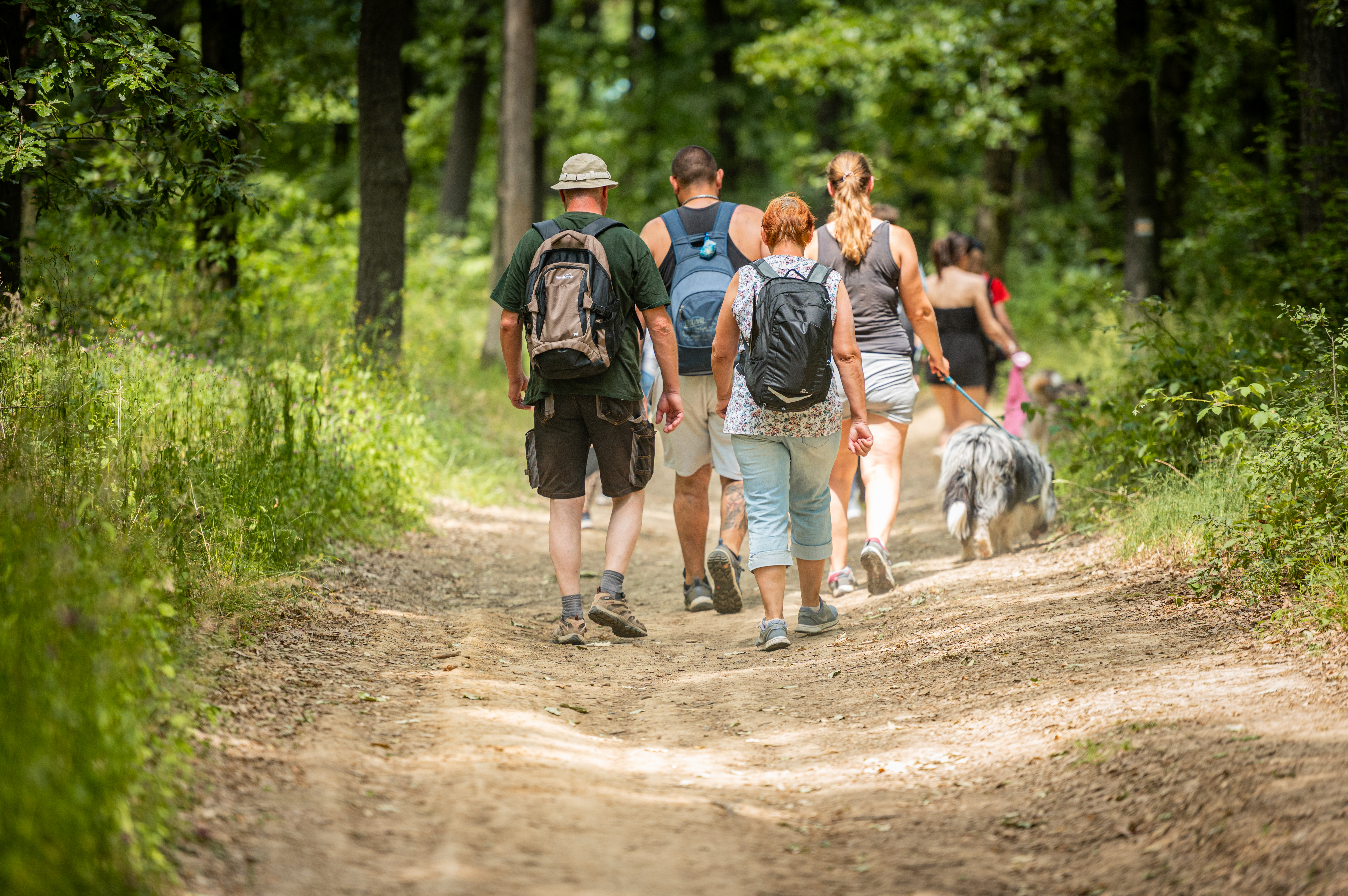 Kutyás Élmény Túrák Balatonlelle Kishegyen