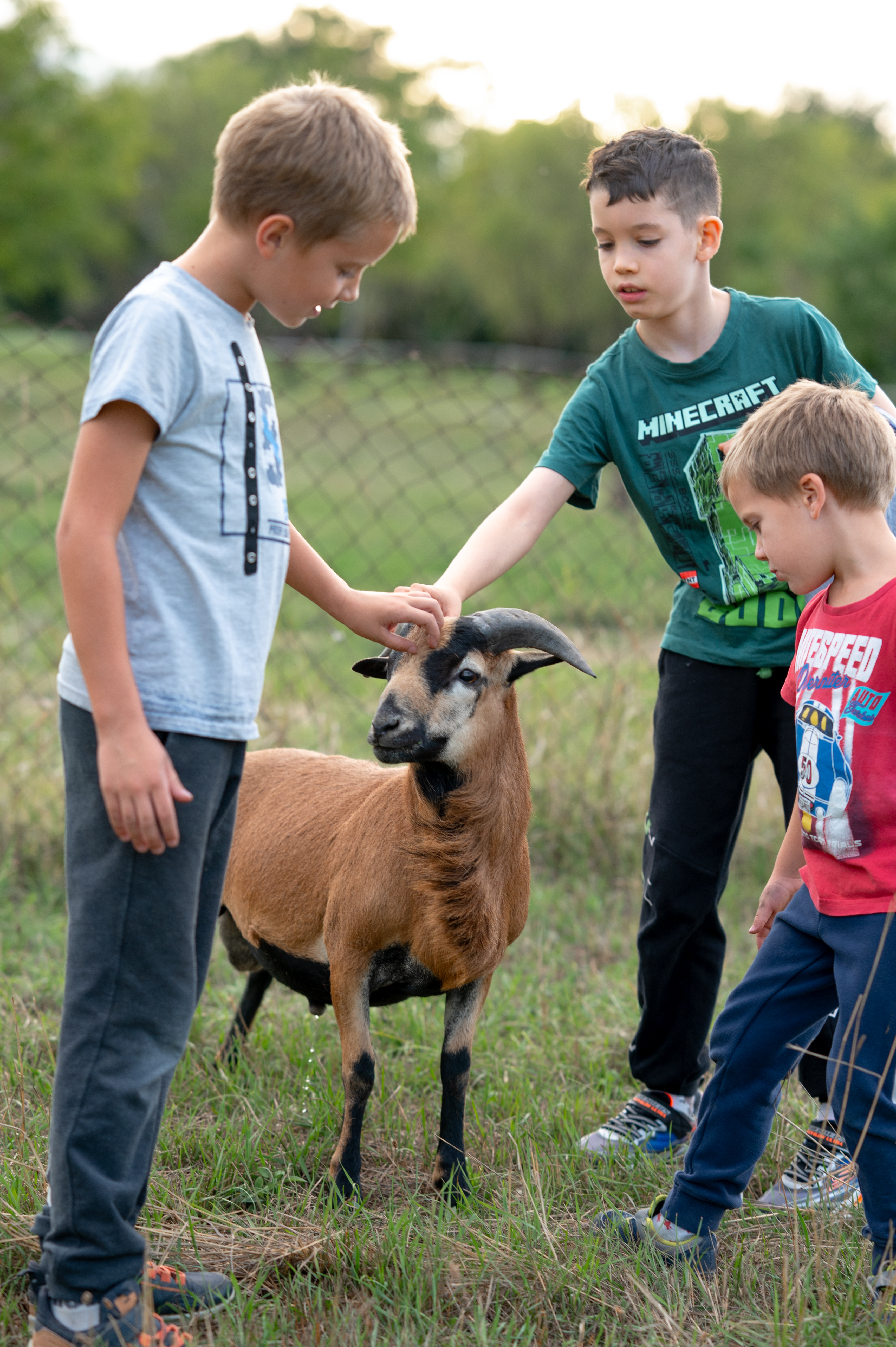 Billegéri Kisgazda Élménynapok