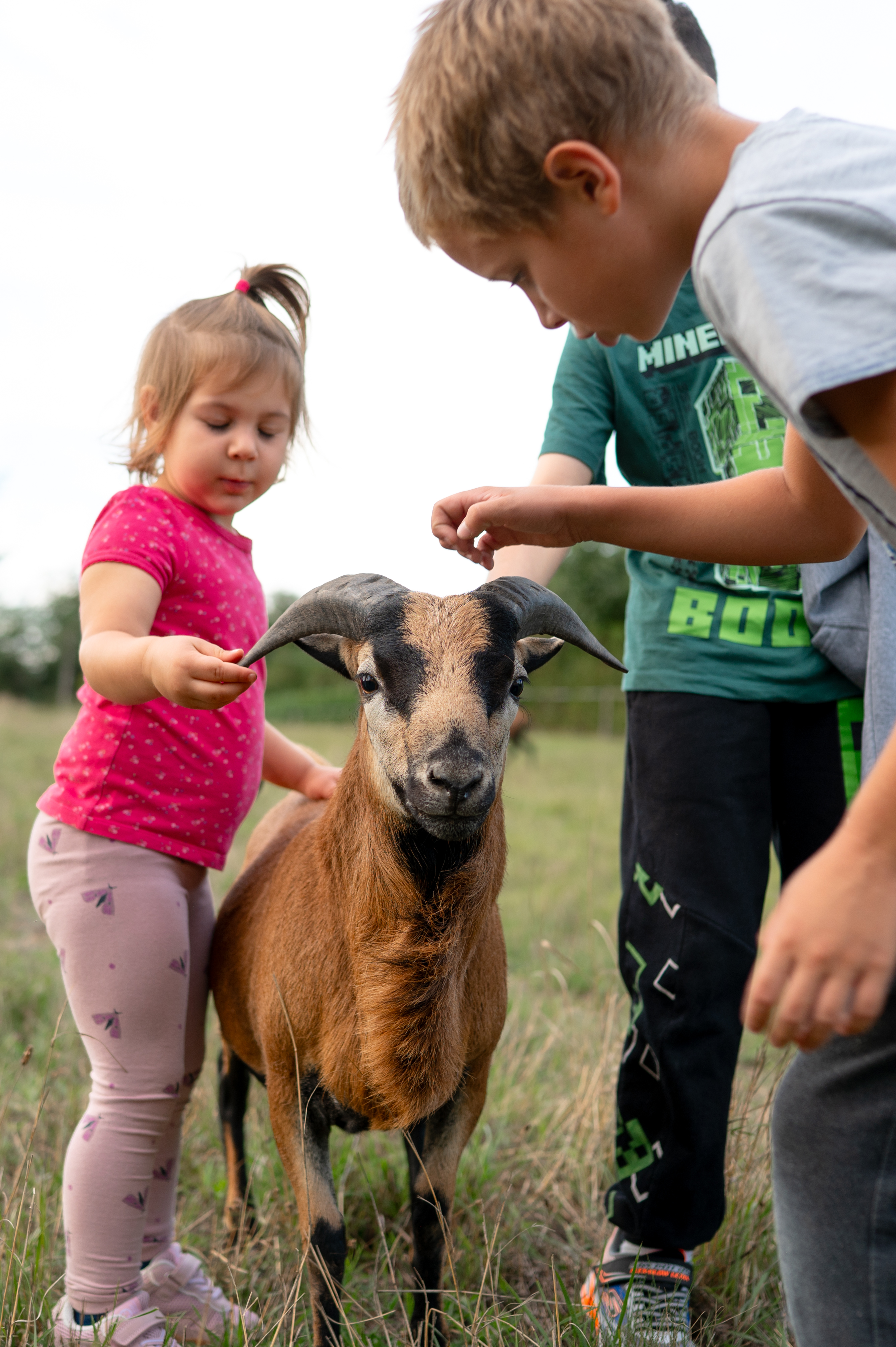 Billegéri Kisgazda Élménynapok