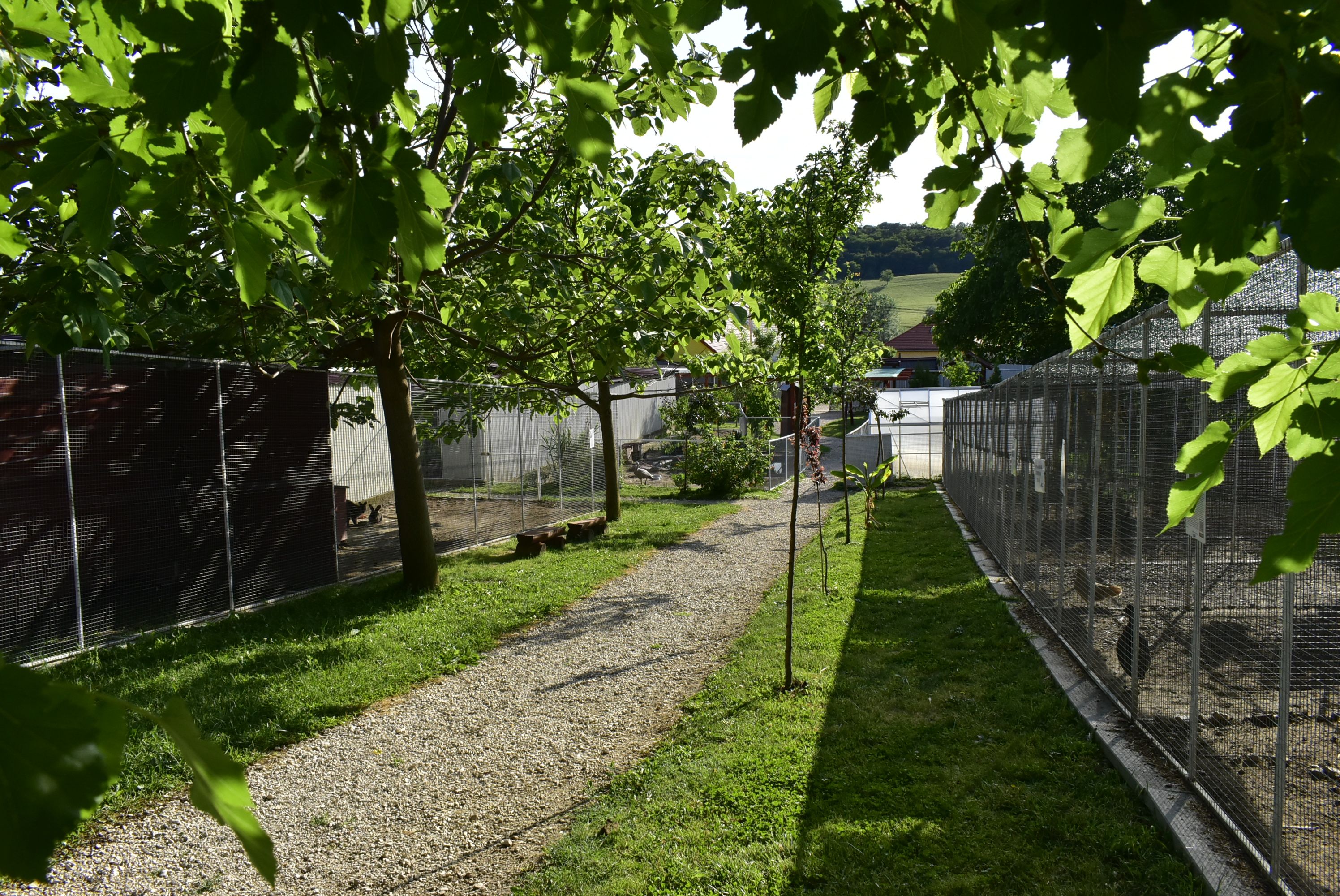 Balatoni Madárkert- díszmadár és kisállatpark