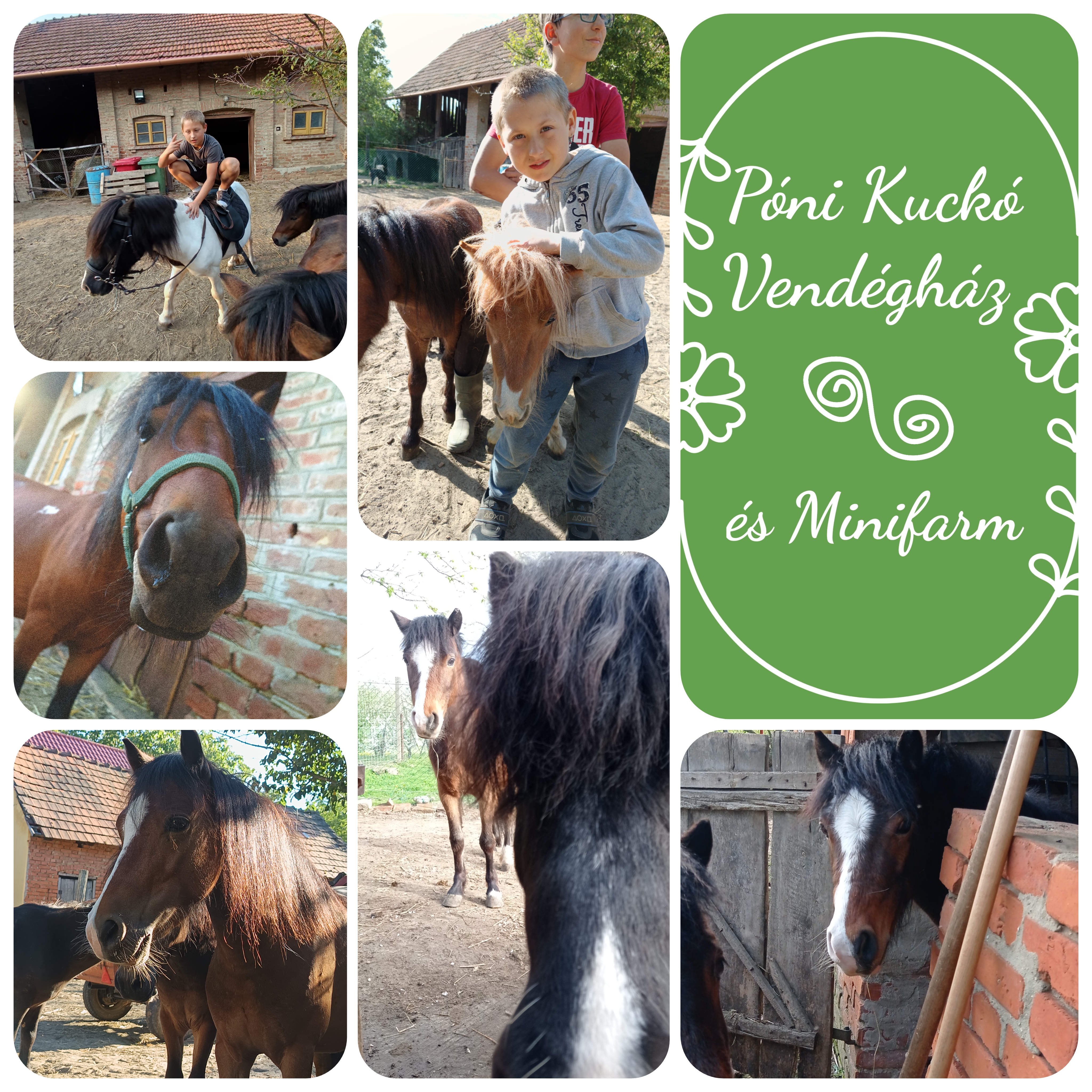 Póni Kuckó Vendégház és Minifarm