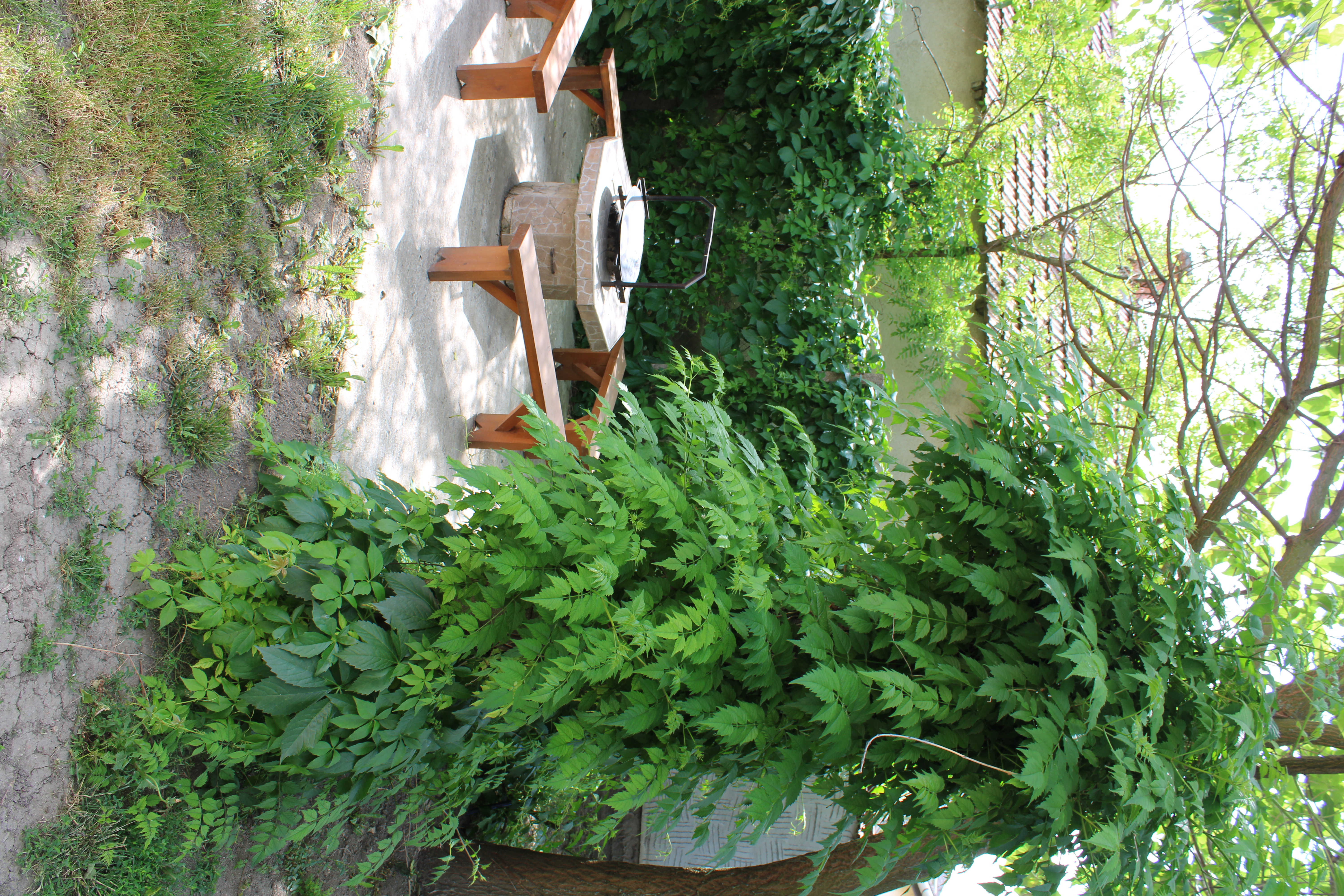 Udvari sütögetőhely