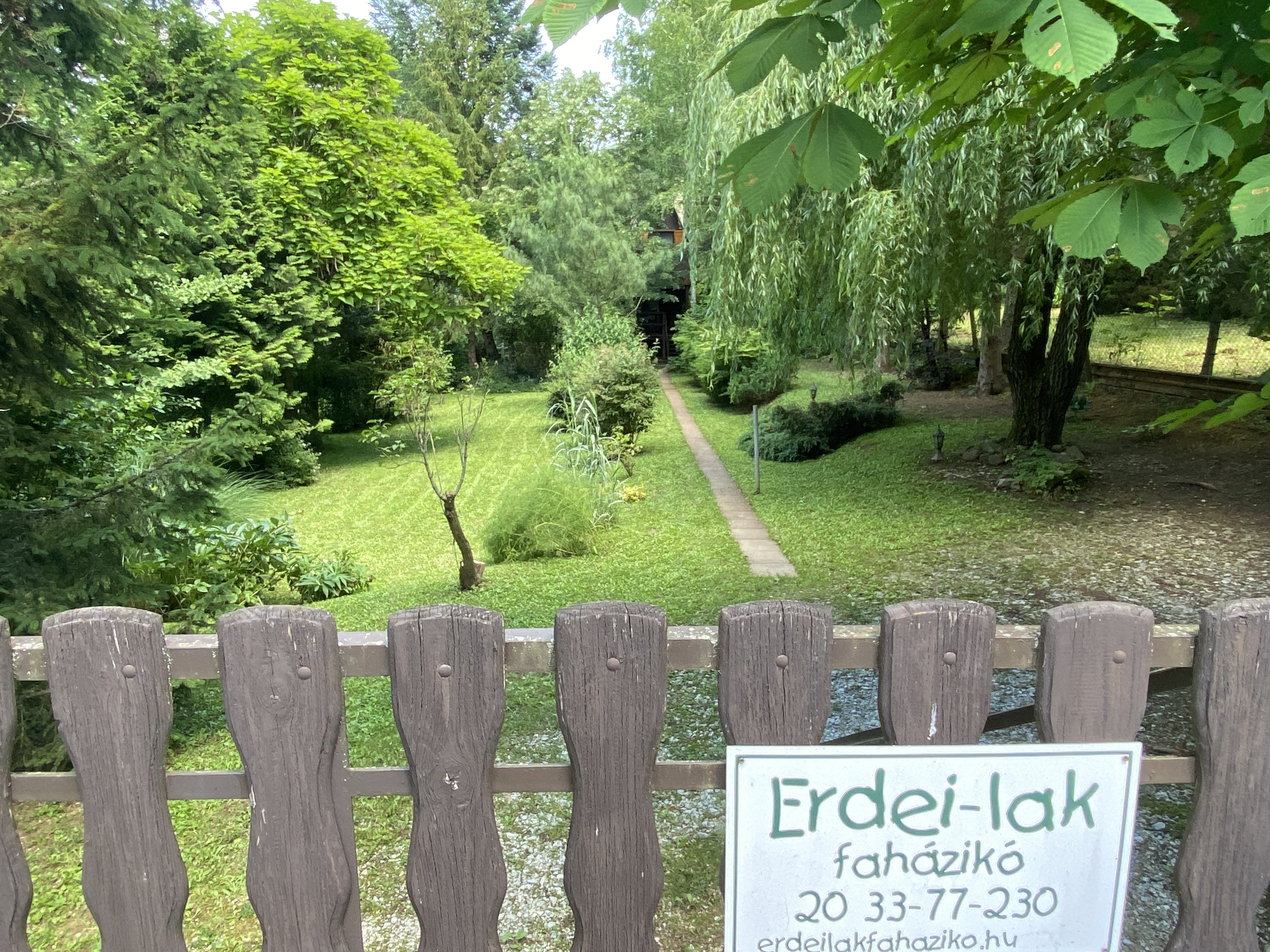 Erdei-lak faházikó Bélapátfalva