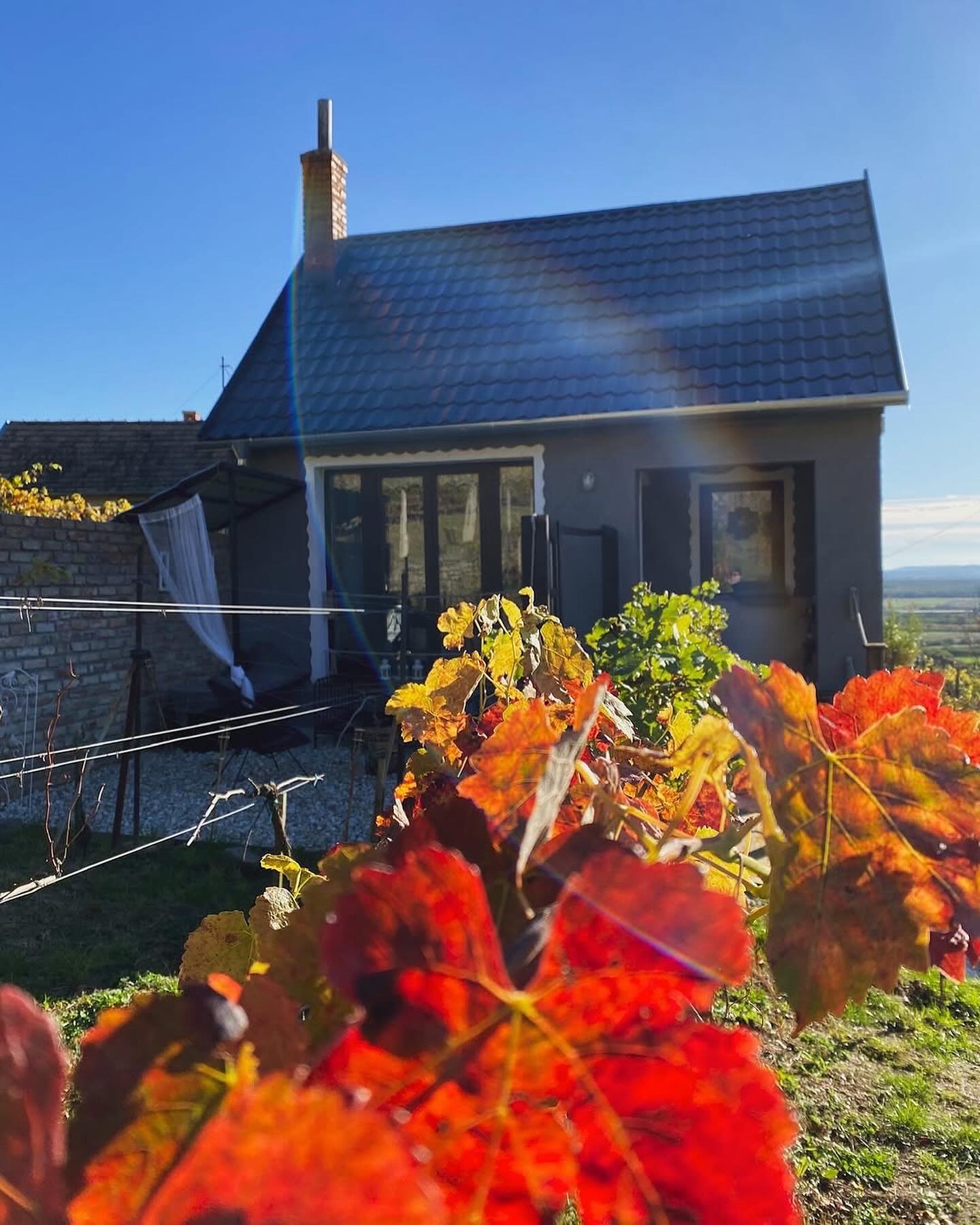 Csipke Somló Vendégház