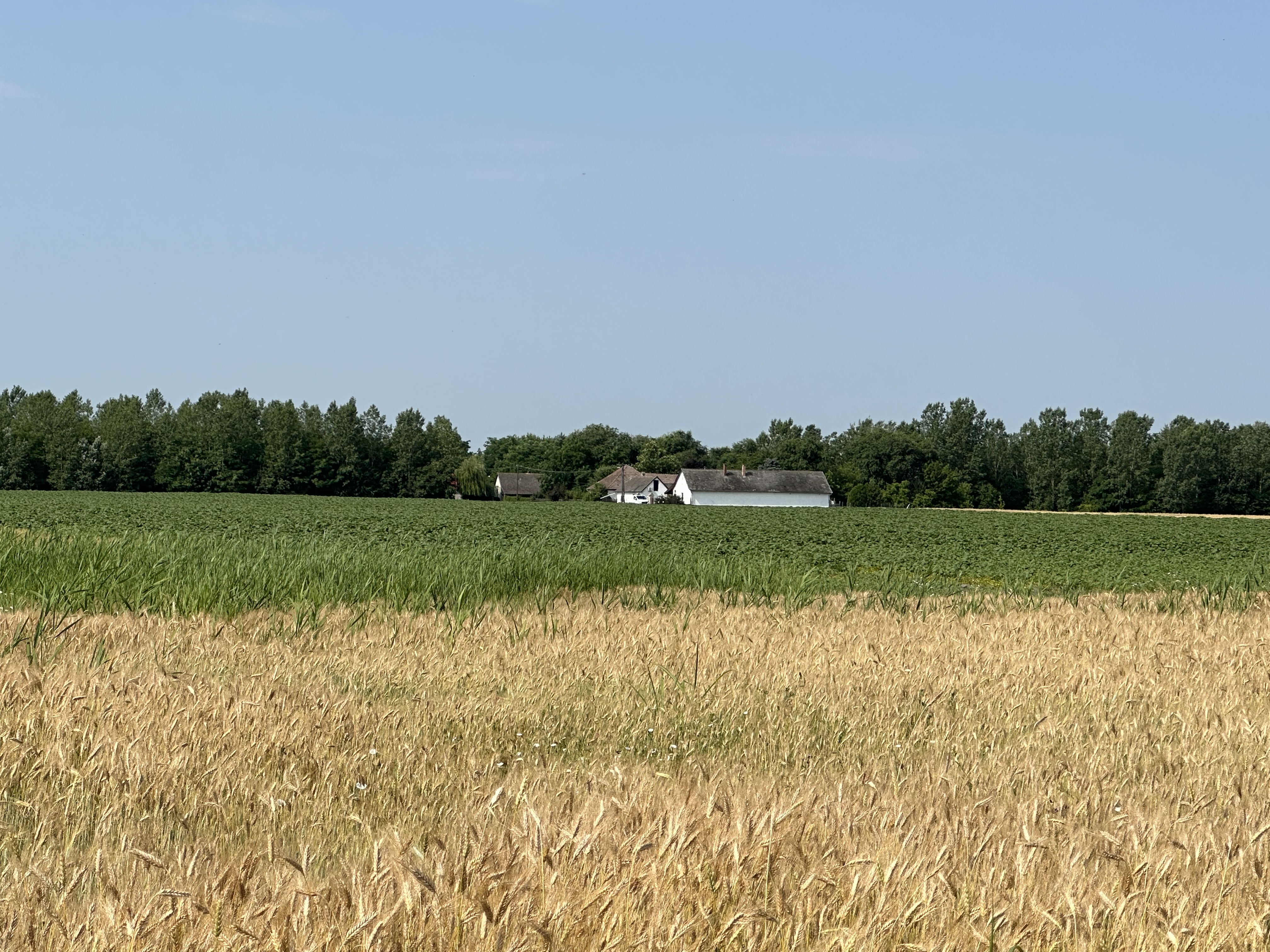Százholdas Pagony Vendégház