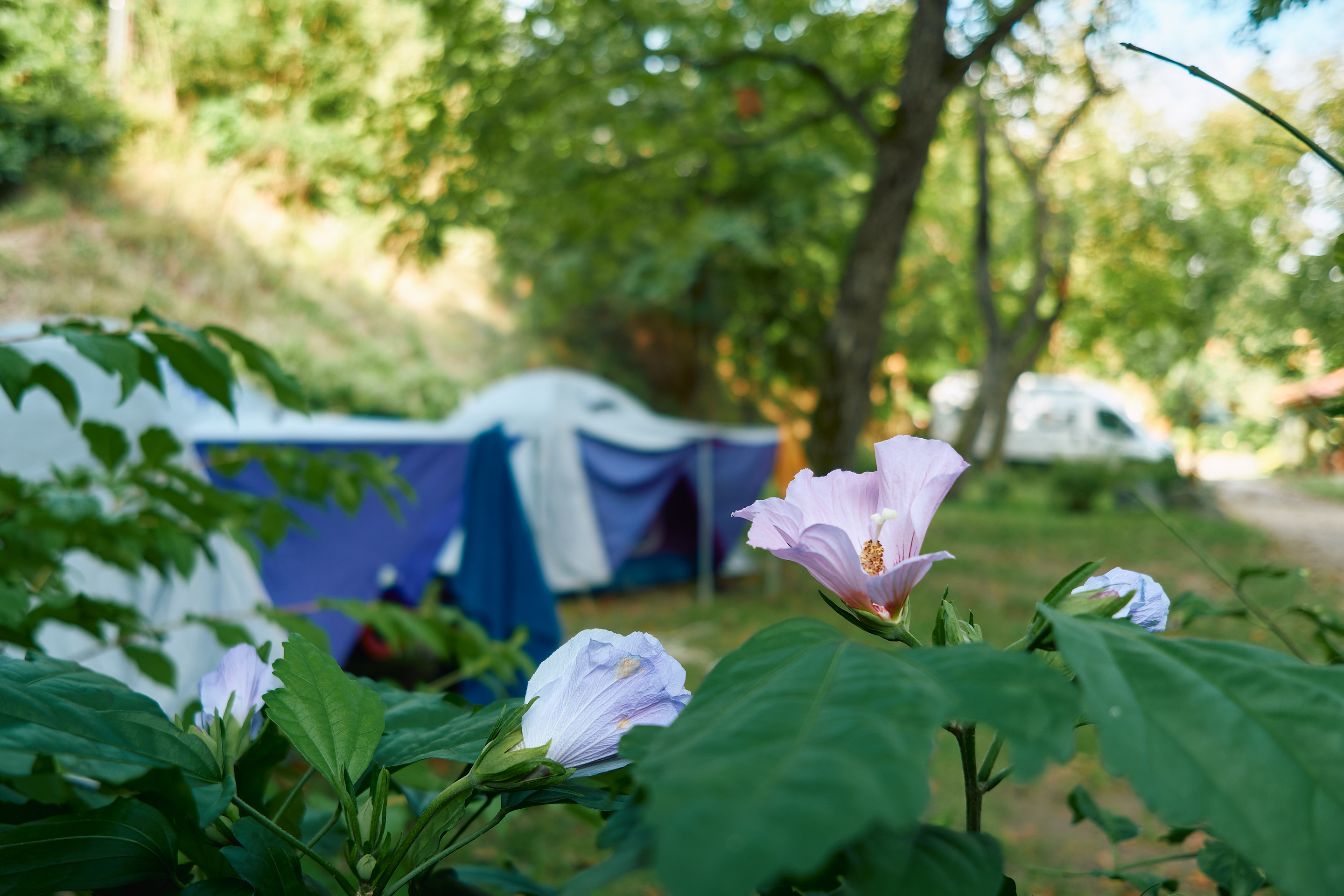 Öko Park Panzió*** Kemping *** Rendezvényközpont és BeerSpa