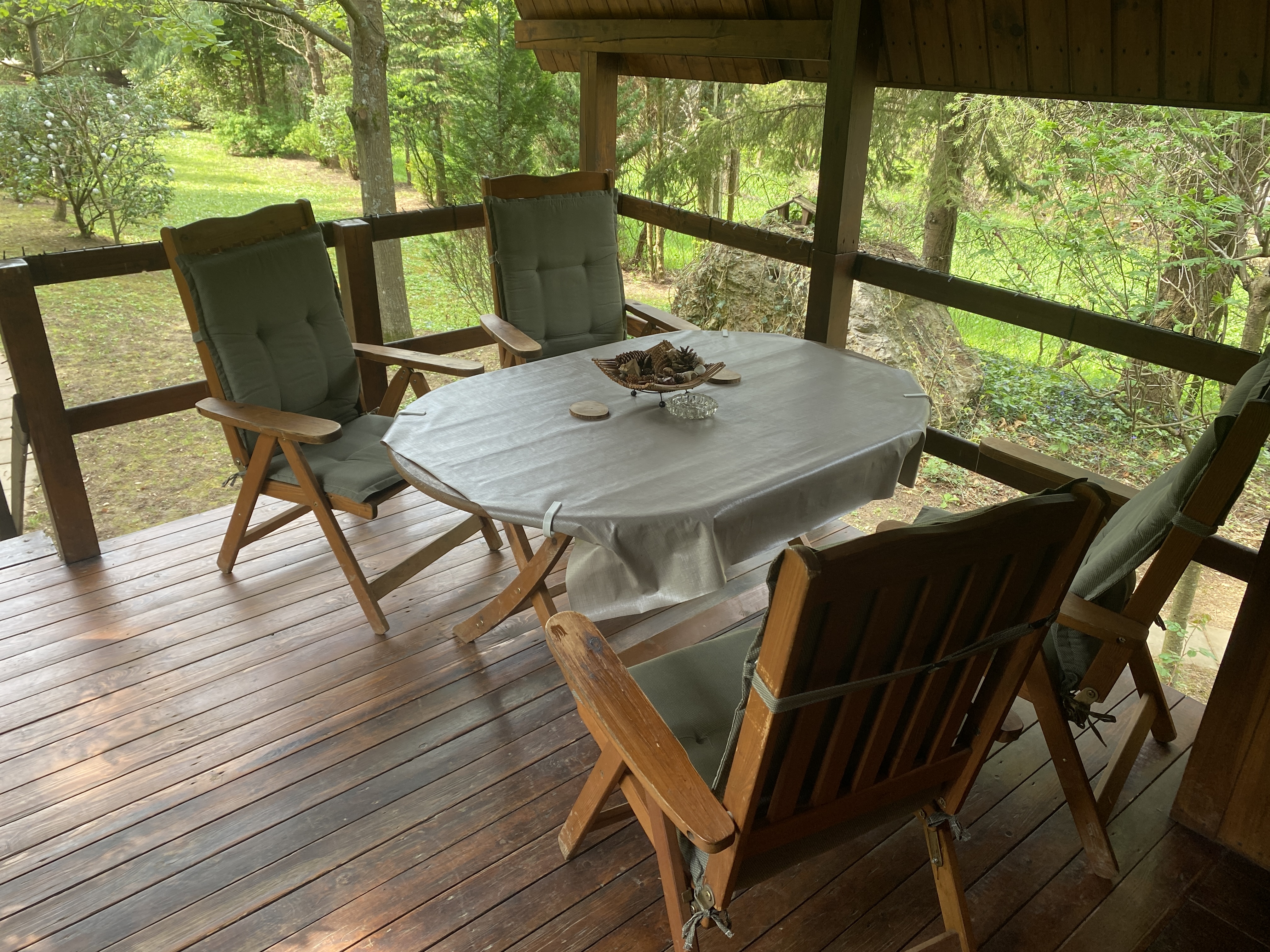 Erdei-lak faházikó Bélapátfalva