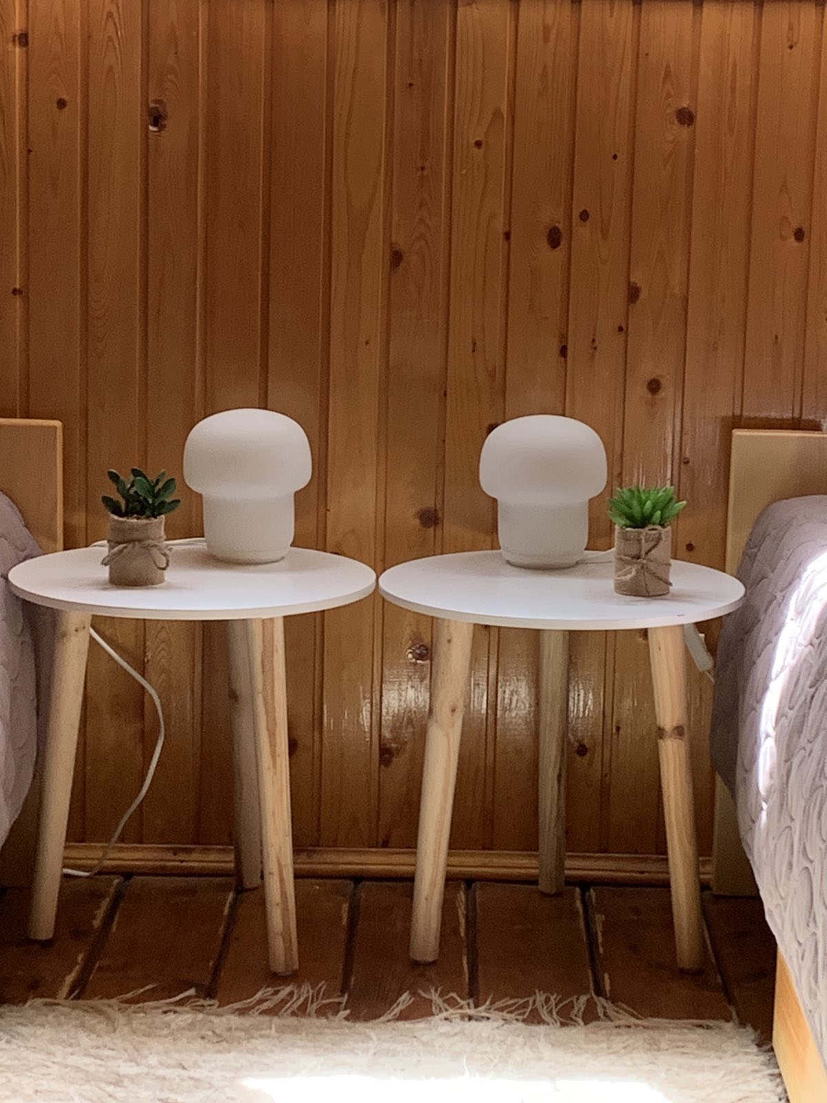 Erdei-lak faházikó Bélapátfalva