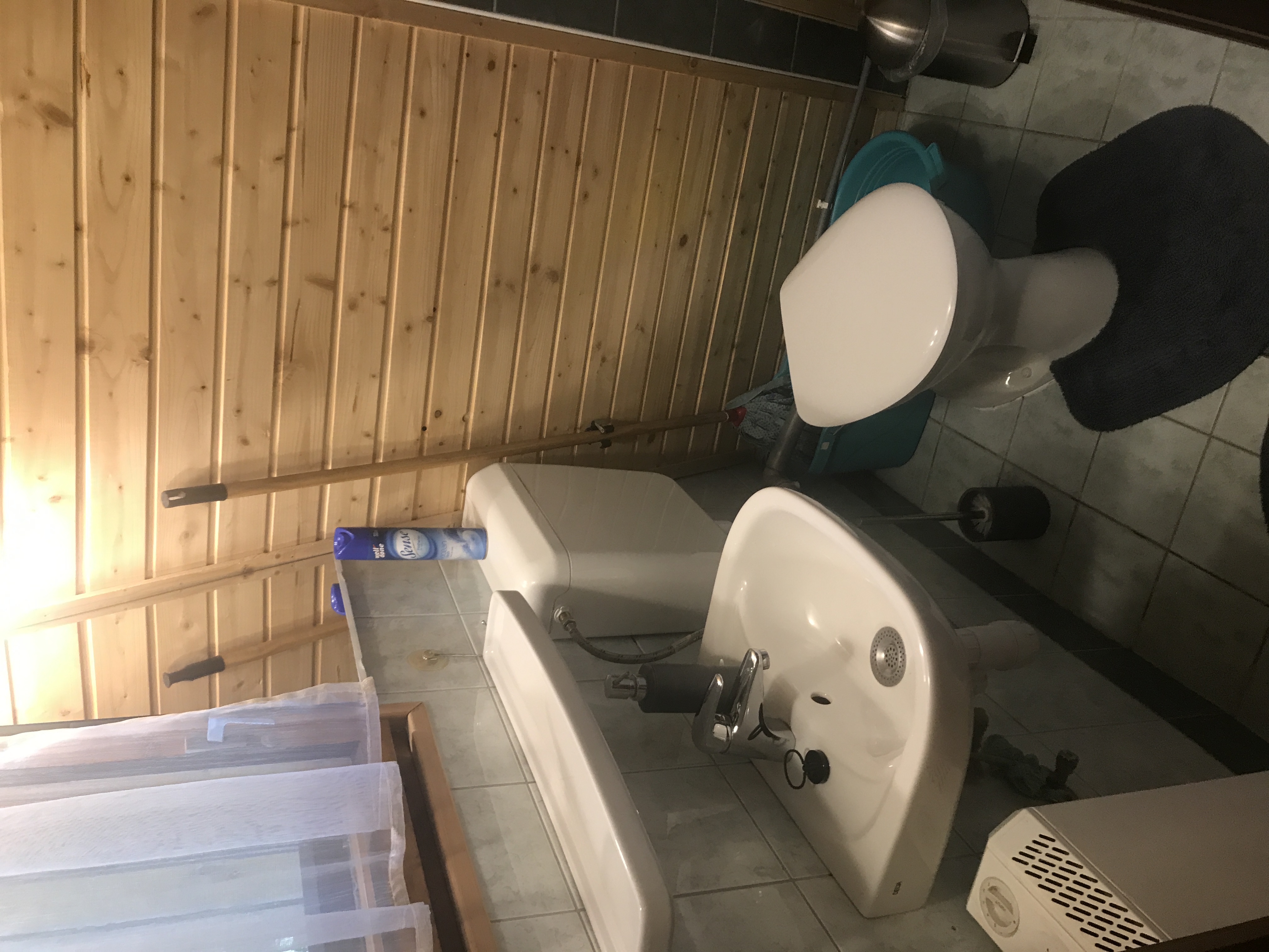 Erdei-lak faházikó Bélapátfalva