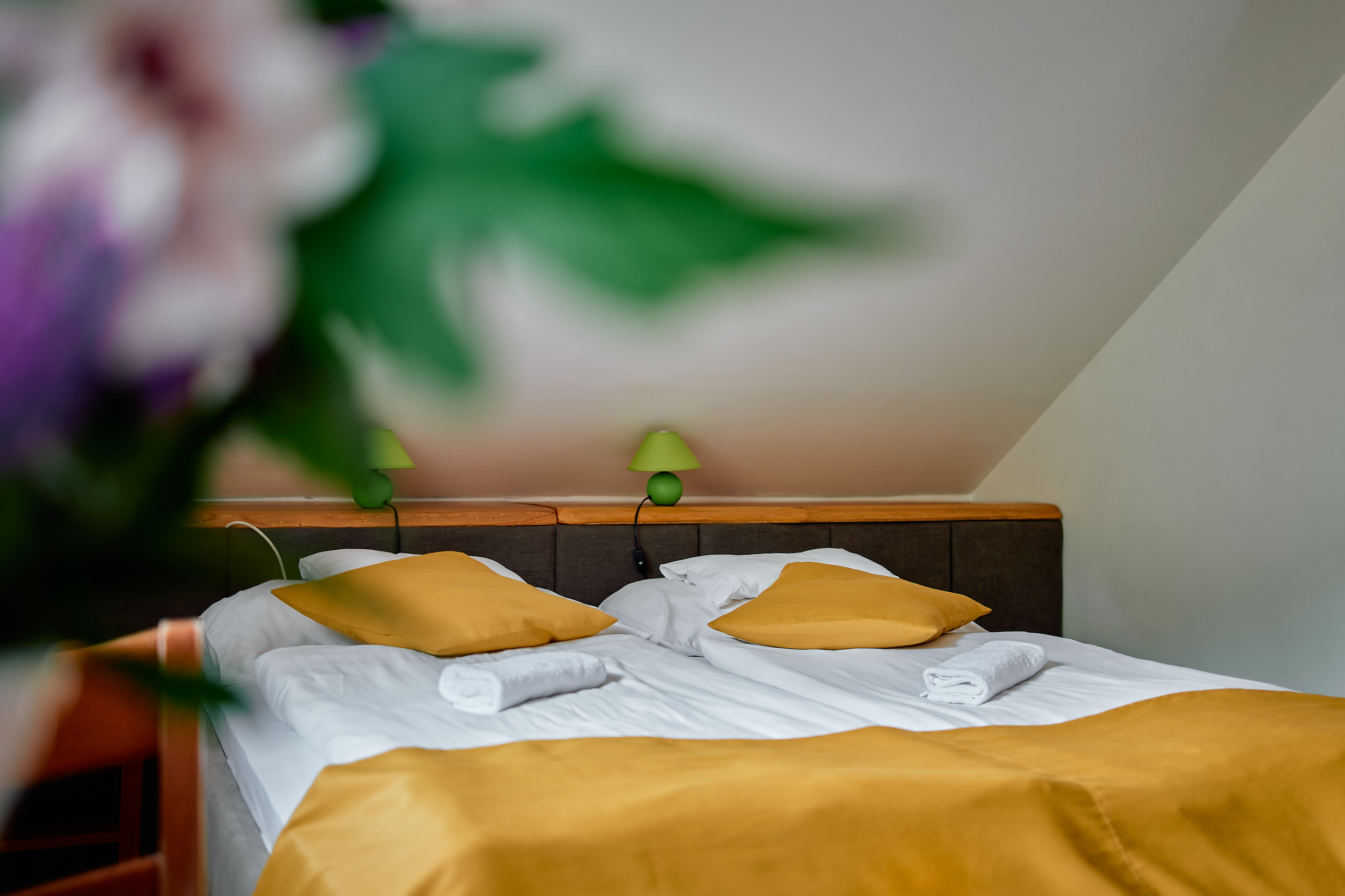 Öko Park Panzió*** Kemping *** Rendezvényközpont és BeerSpa