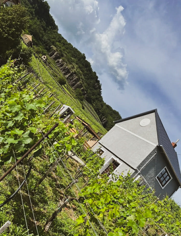 Csipke Somló Vendégház