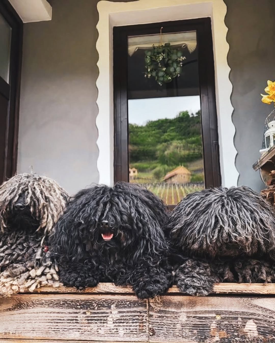 Csipke Somló Vendégház