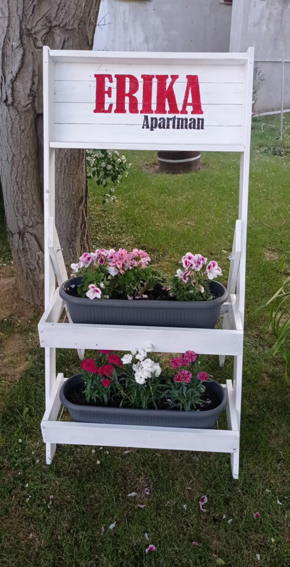 Erika Apartman