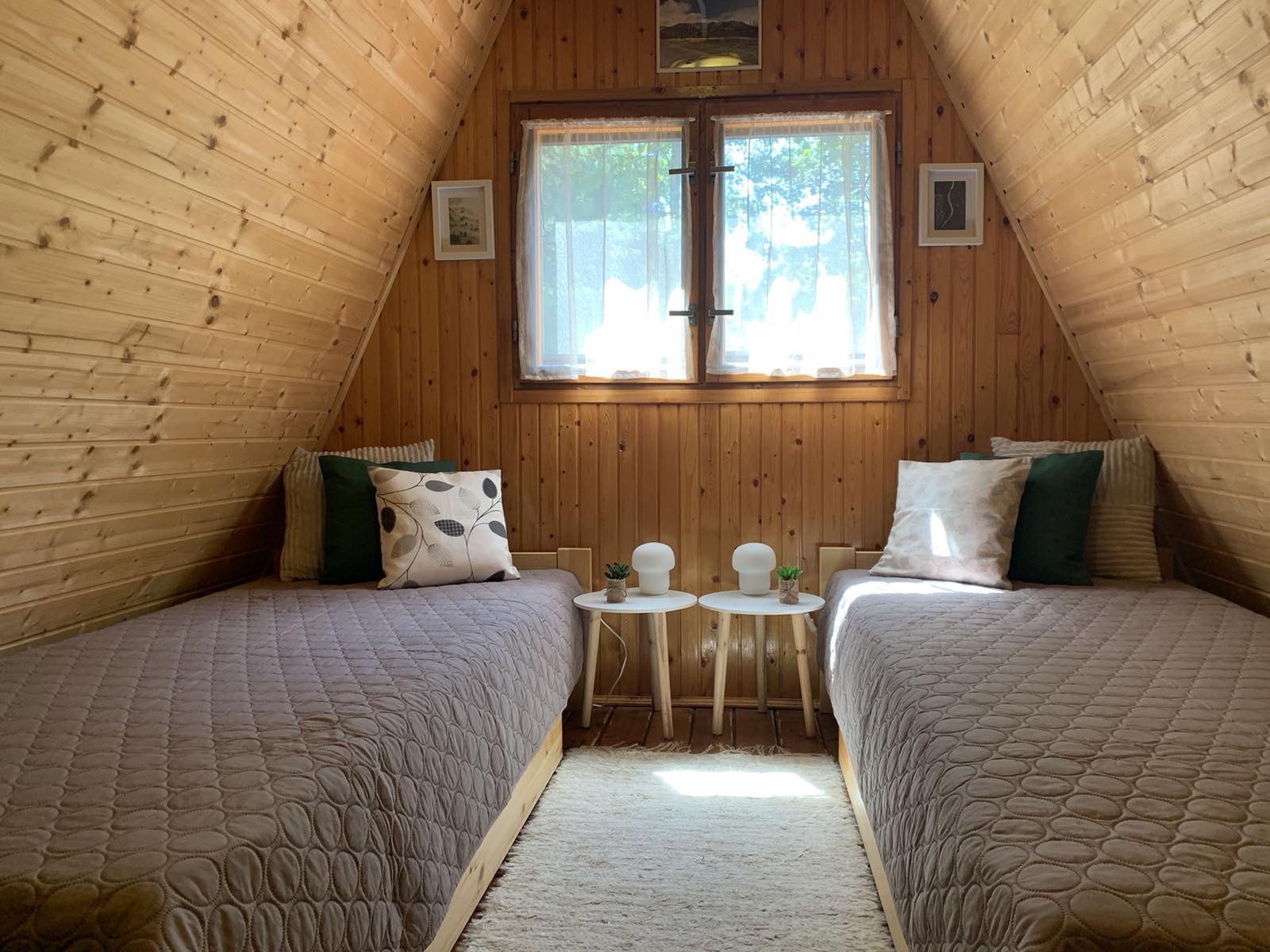 Erdei-lak faházikó Bélapátfalva