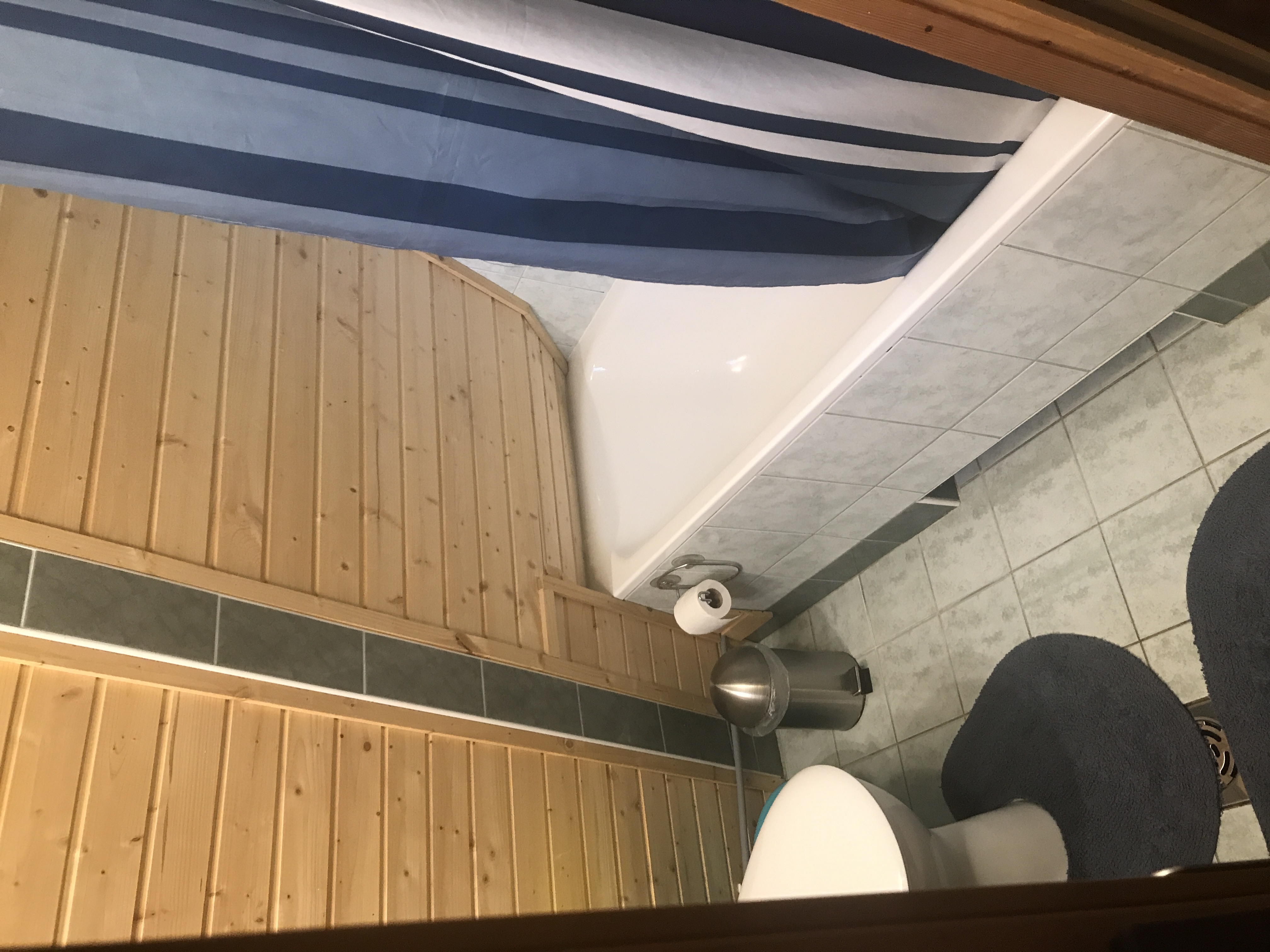 Erdei-lak faházikó Bélapátfalva