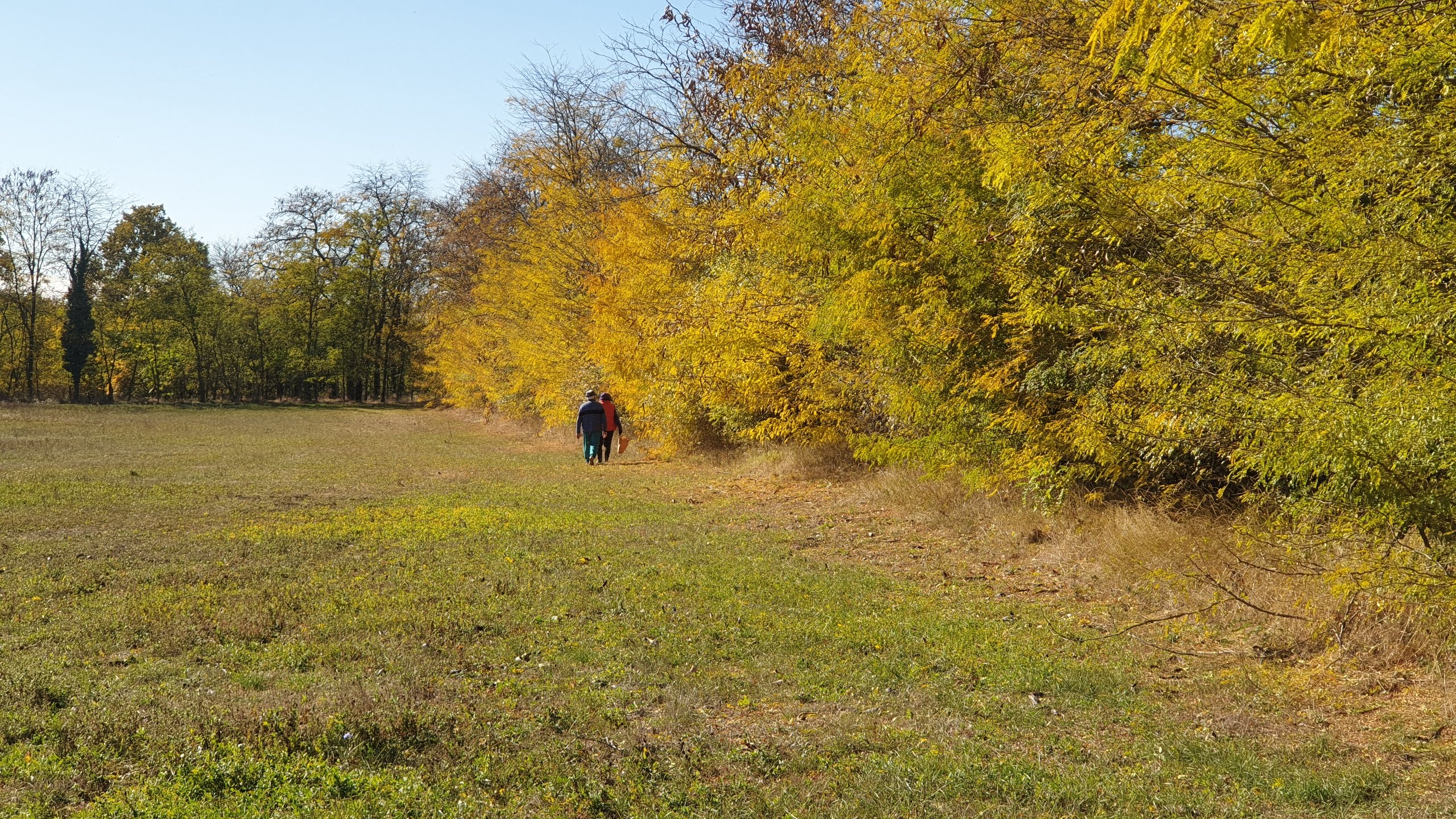 Tölgyeserdő Birtok Kaba