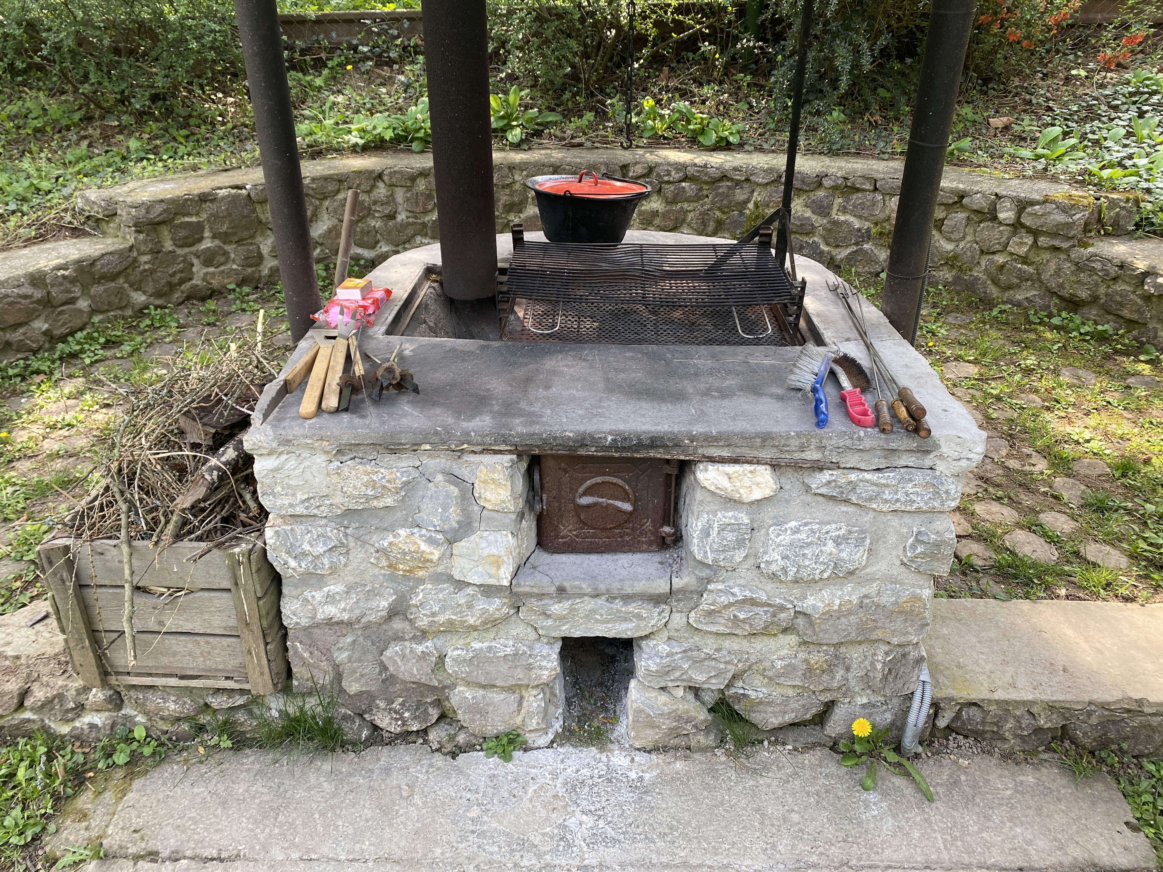 Erdei-lak faházikó Bélapátfalva