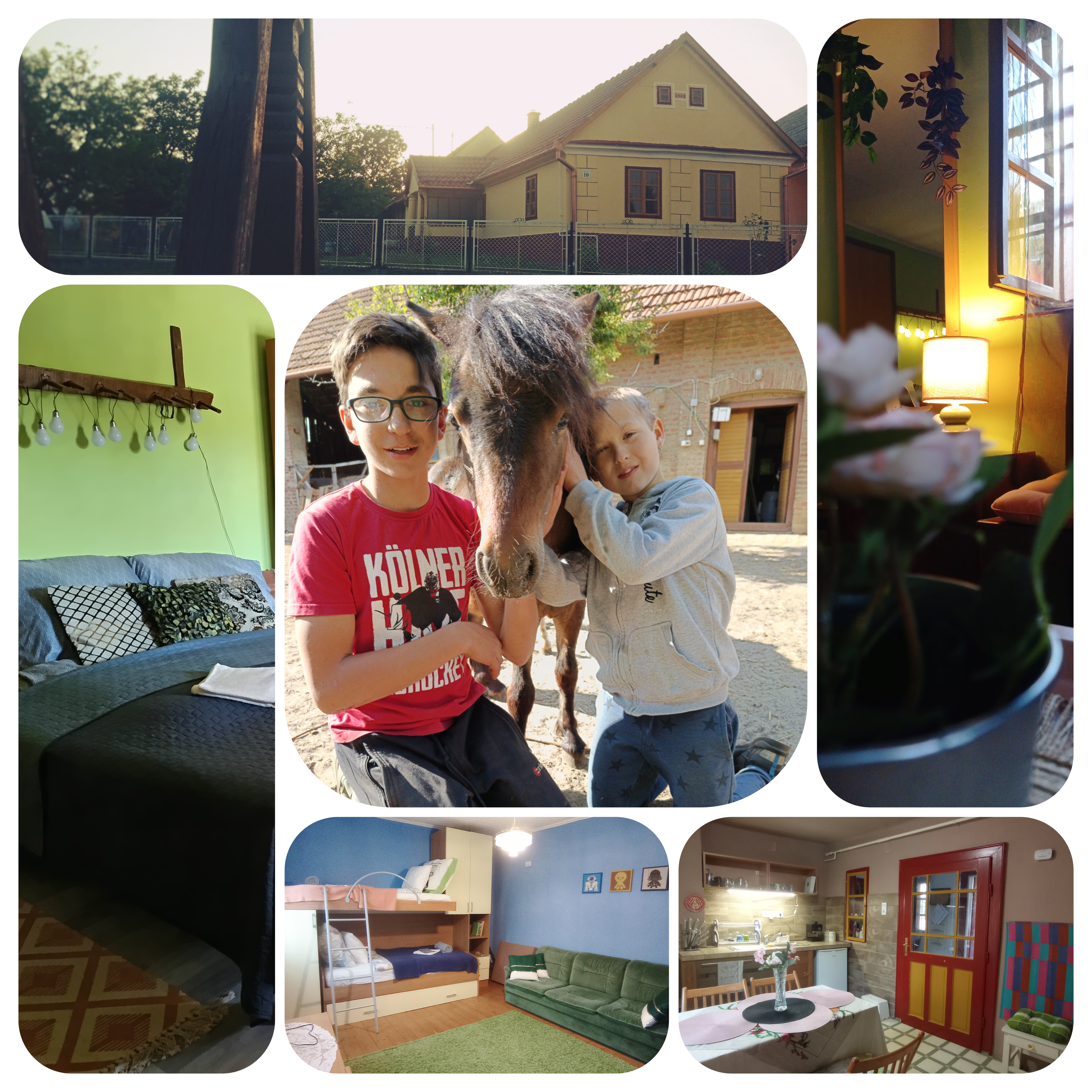 Póni Kuckó Vendégház és Minifarm