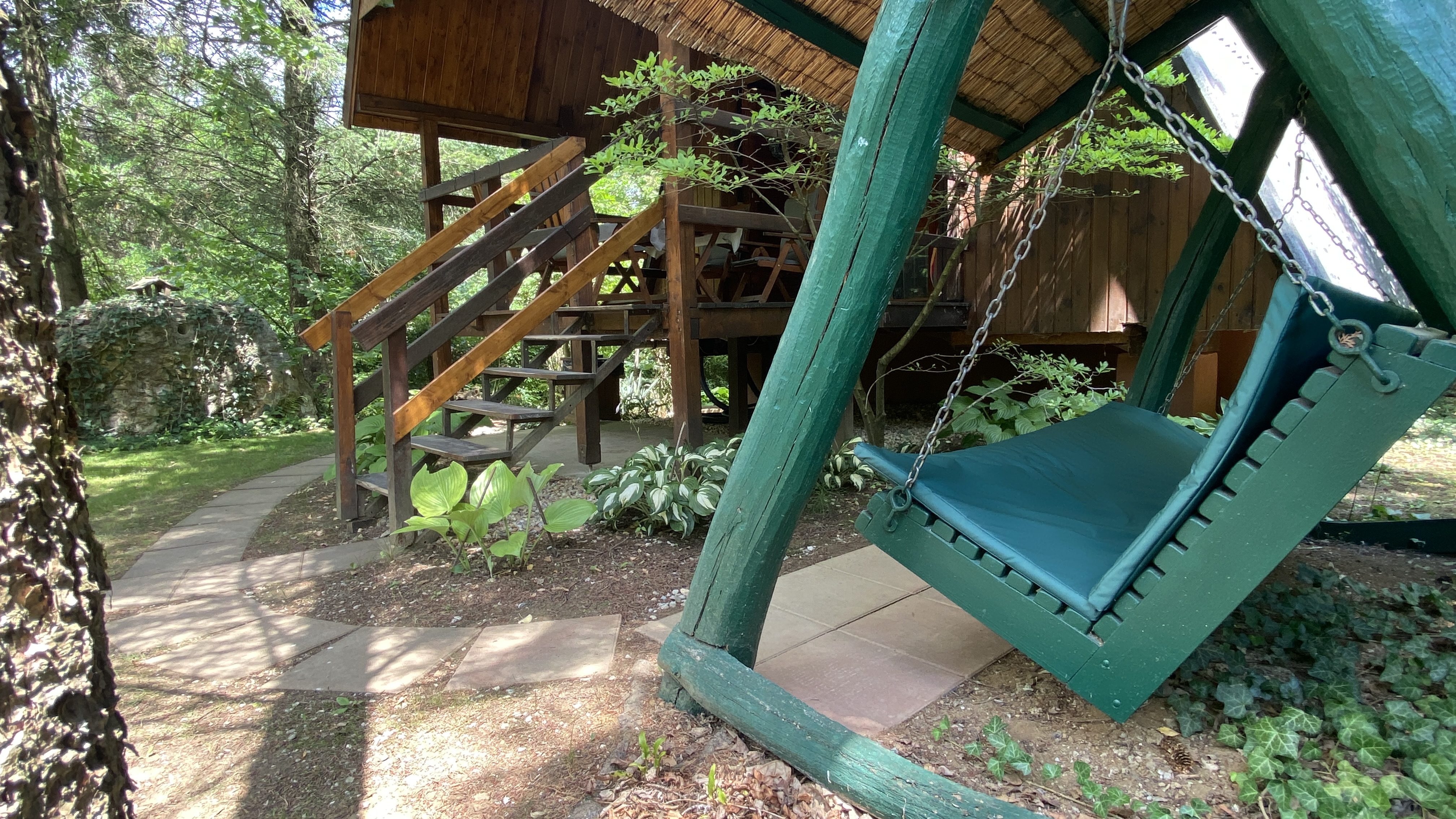 Erdei-lak faházikó Bélapátfalva