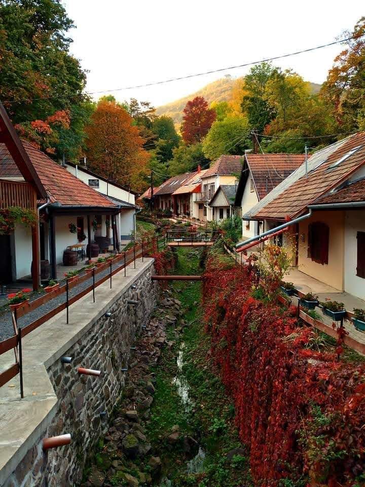 Kincstár Apartmanok Forint Apartman