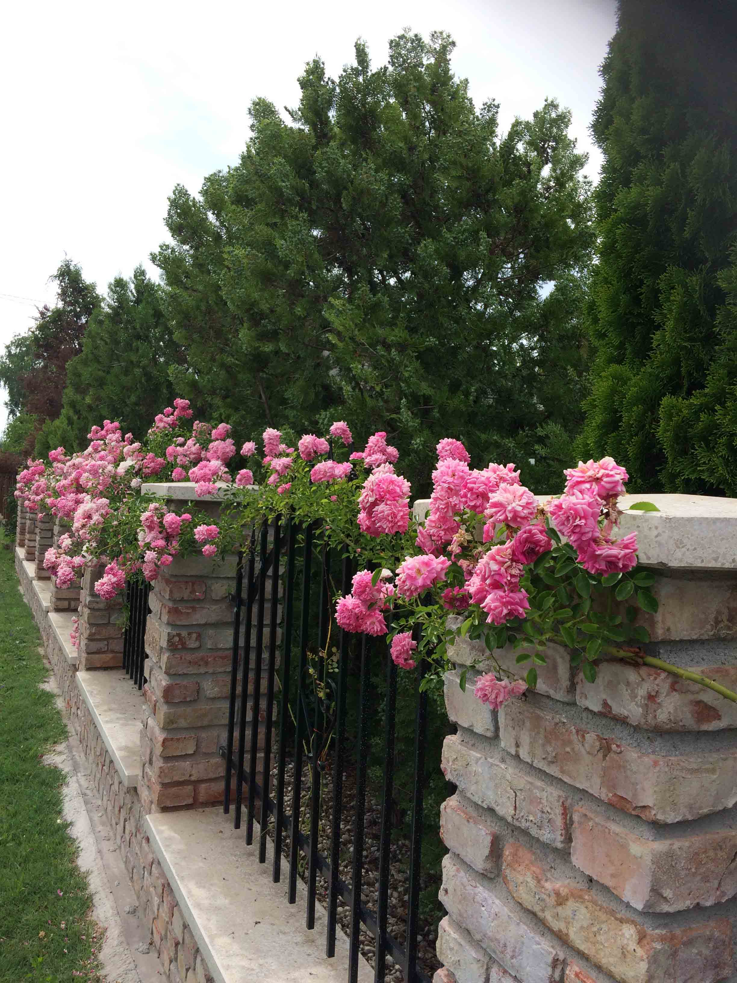 Villa Orchidea Balatonmáriafürdő