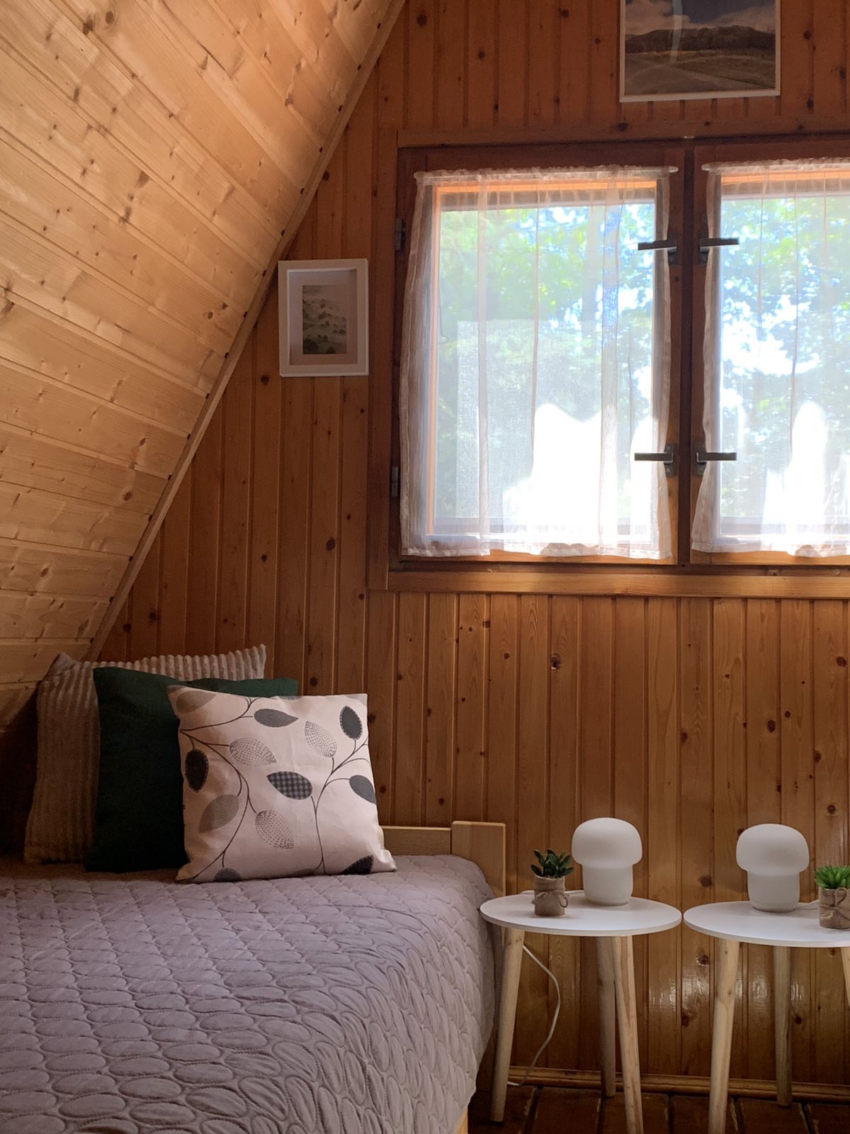 Erdei-lak faházikó Bélapátfalva