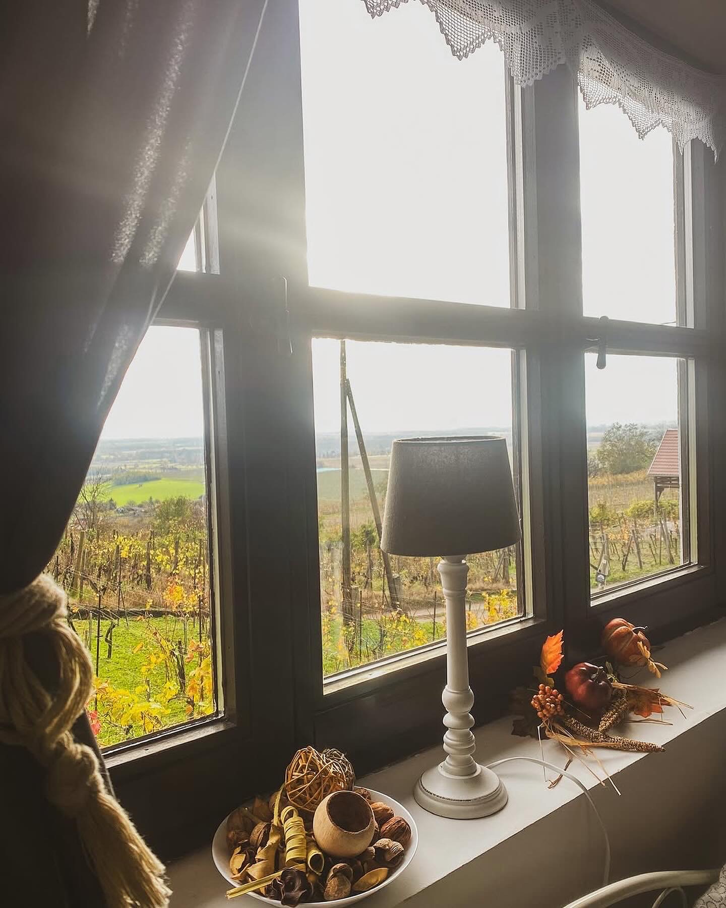 Csipke Somló Vendégház