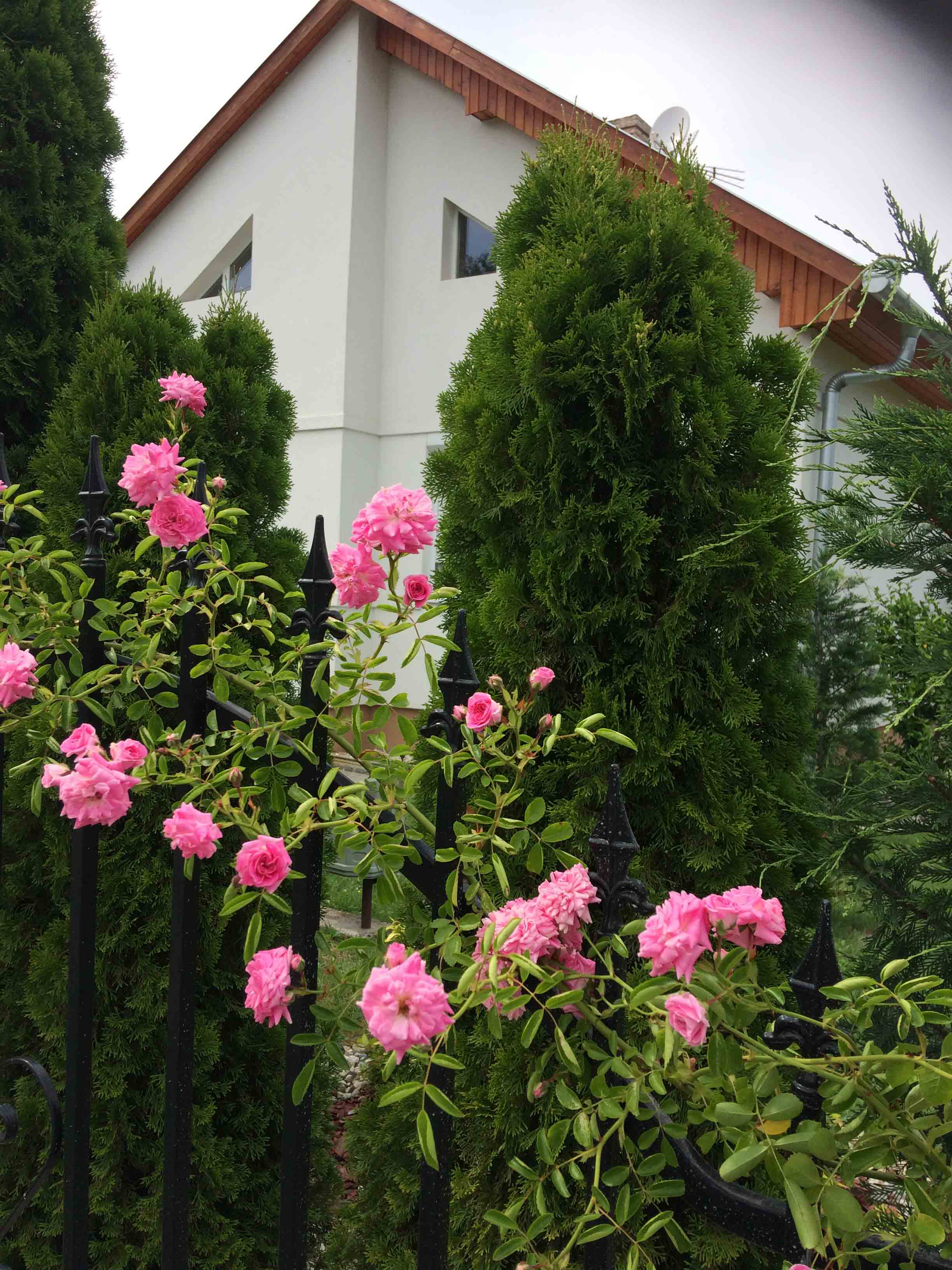 Villa Orchidea Balatonmáriafürdő