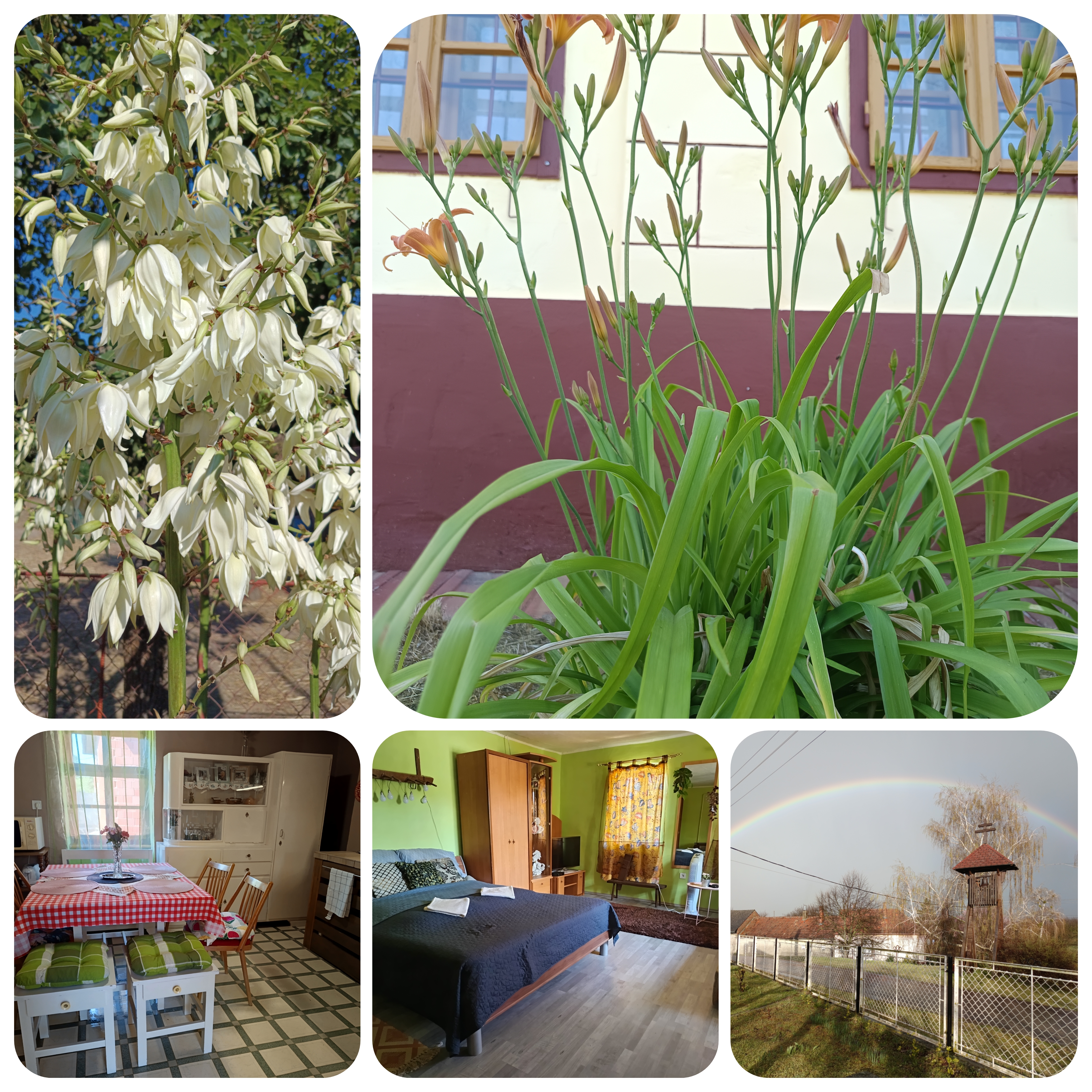 Póni Kuckó Vendégház és Minifarm