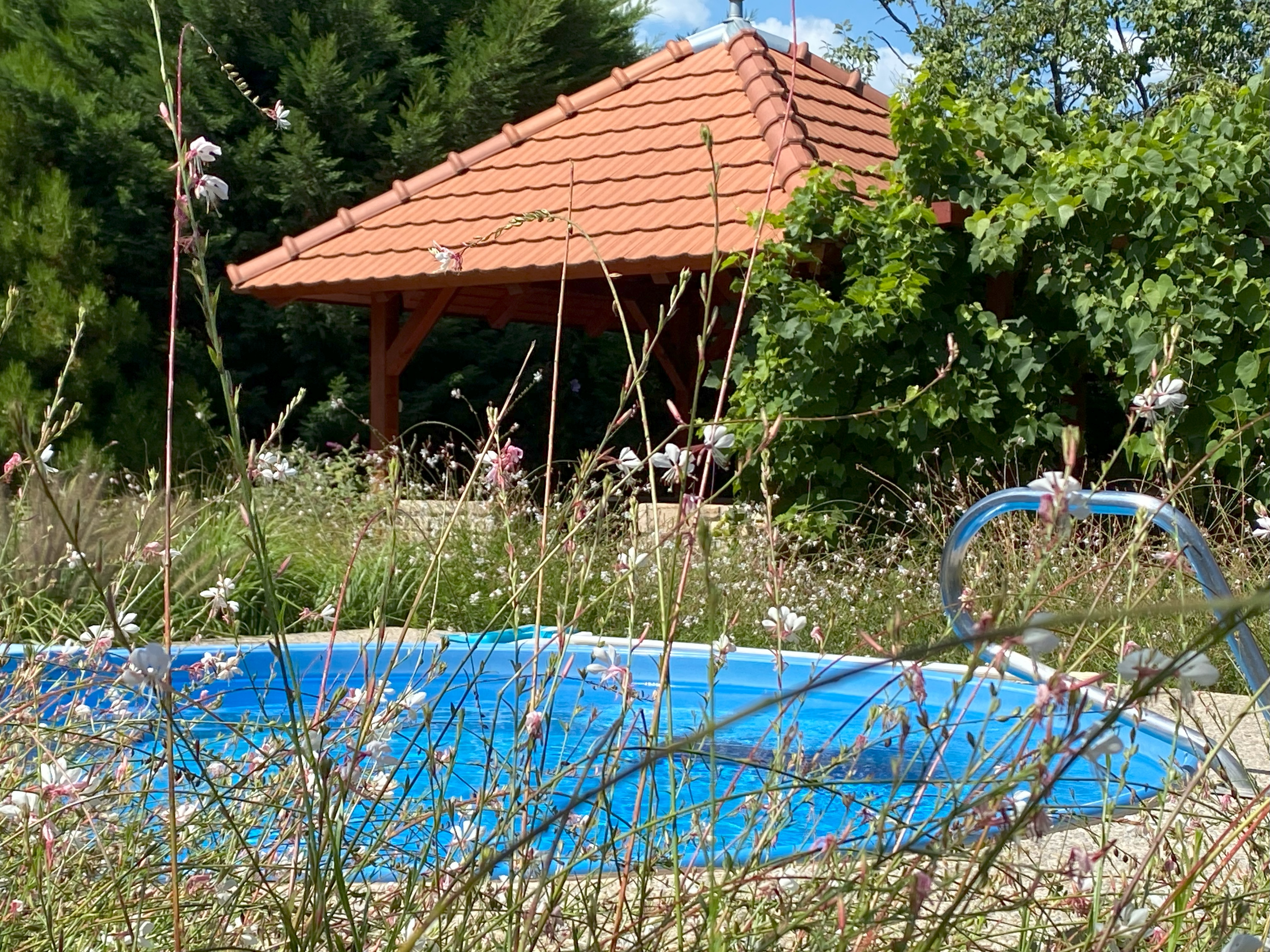 Villa Orchidea Balatonmáriafürdő