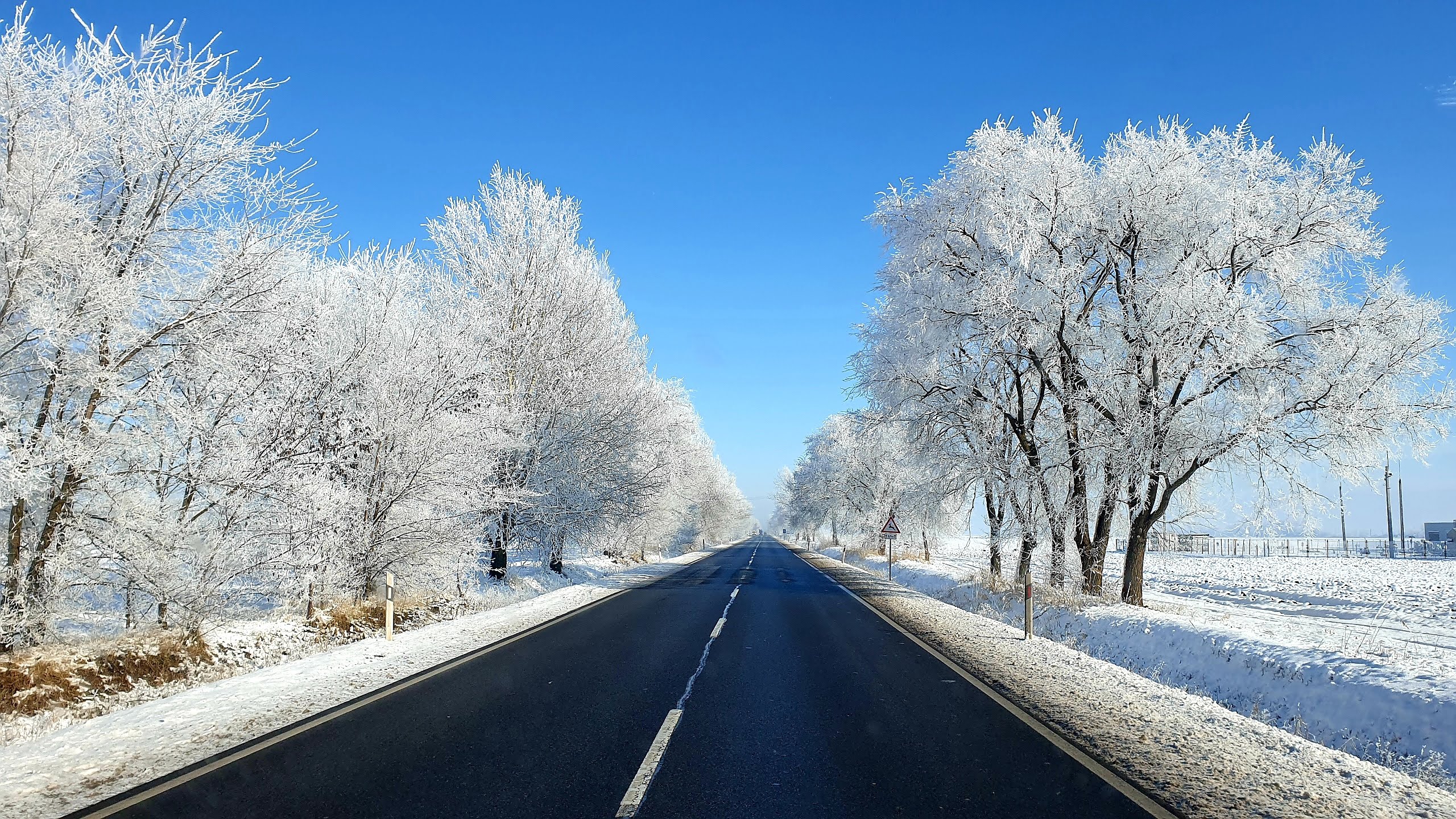 Tölgyeserdő Birtok Kaba