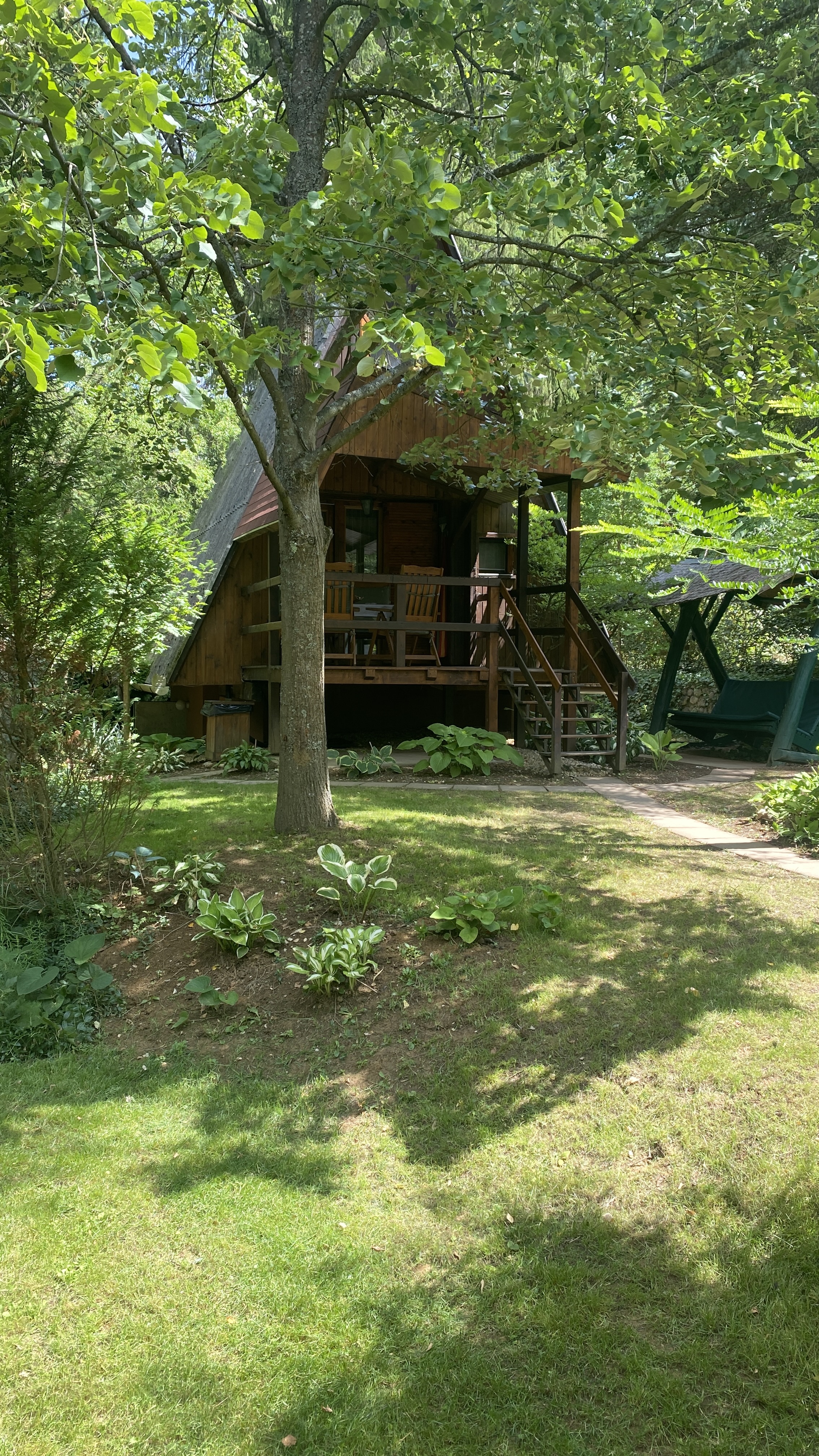 Erdei-lak faházikó Bélapátfalva