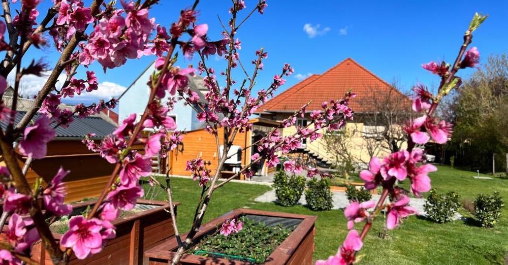 Négy Évszak Vendégház Nyúl