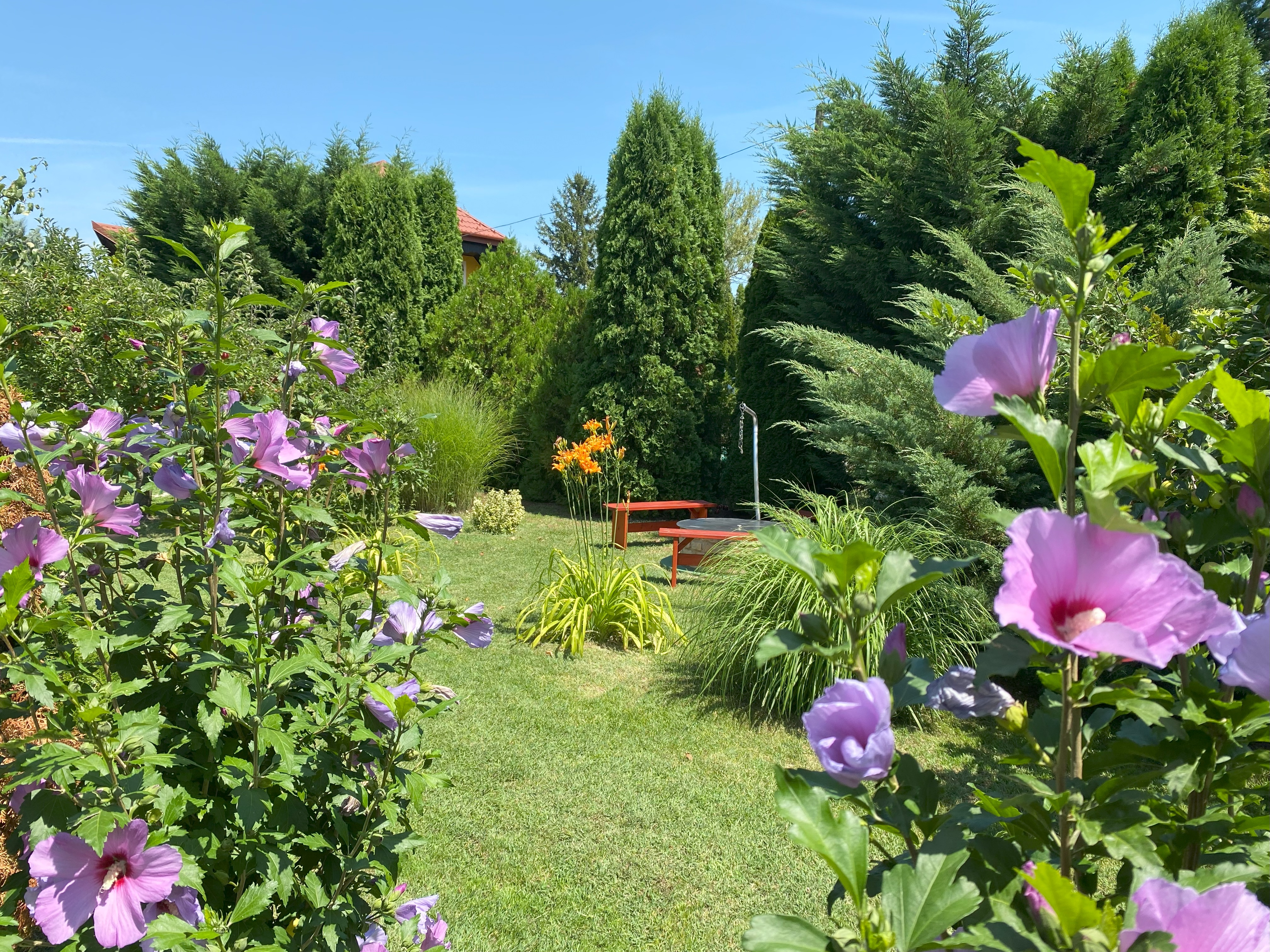 Villa Orchidea Balatonmáriafürdő