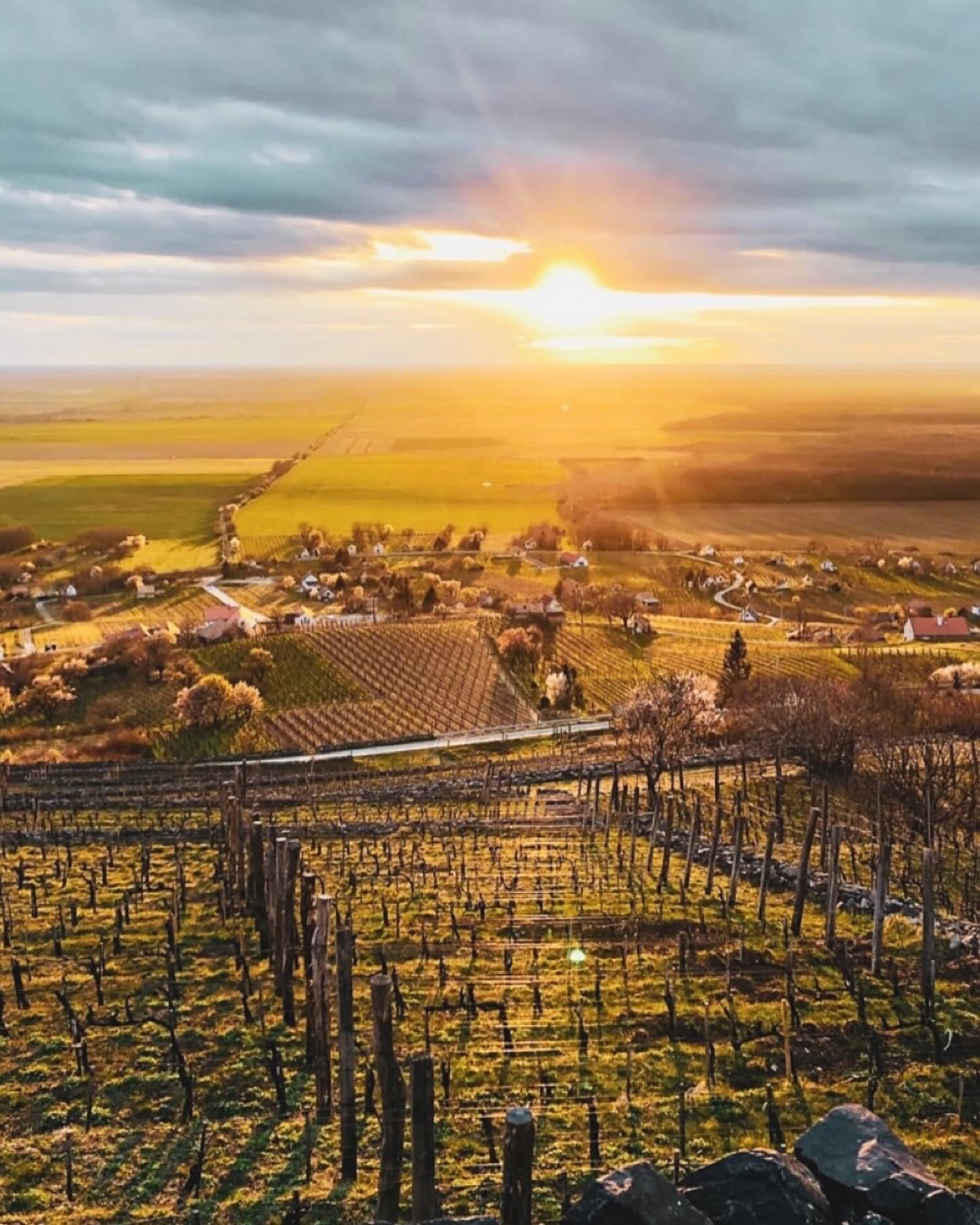 Csipke Somló Vendégház