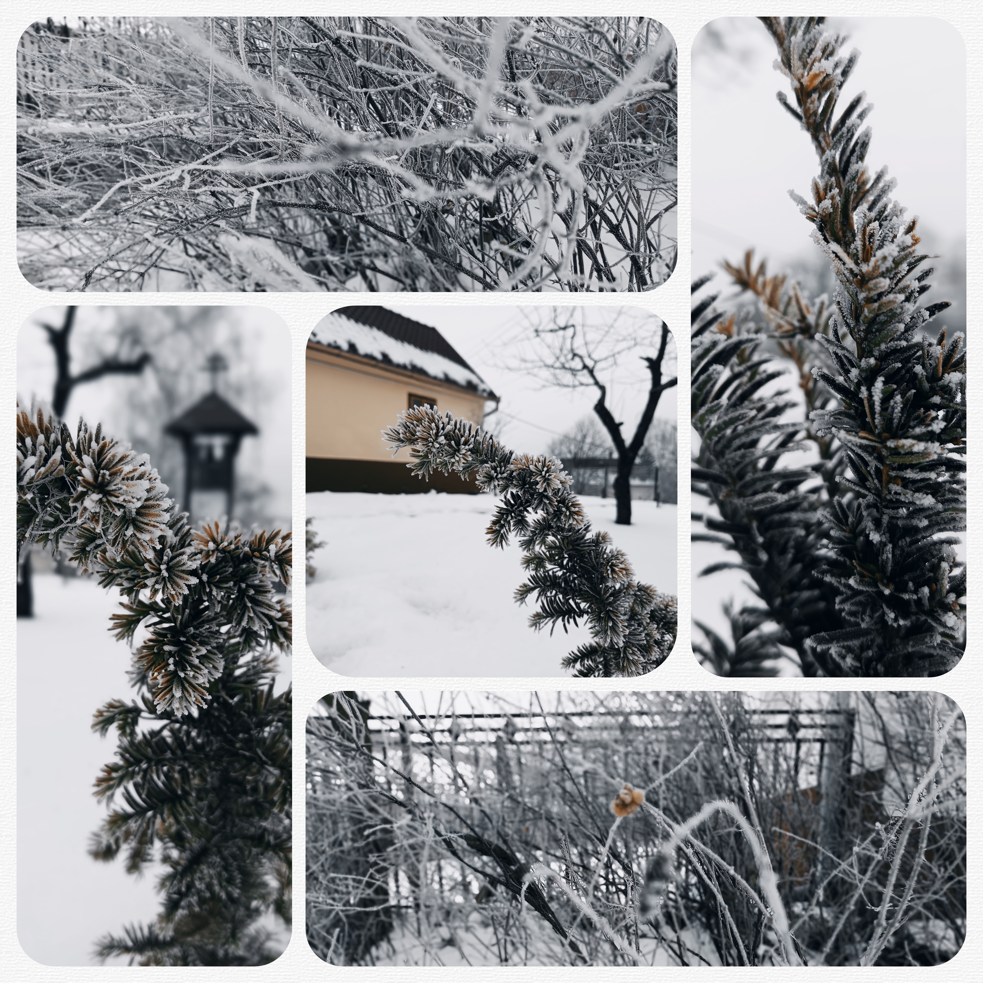 Póni Kuckó Vendégház és Minifarm