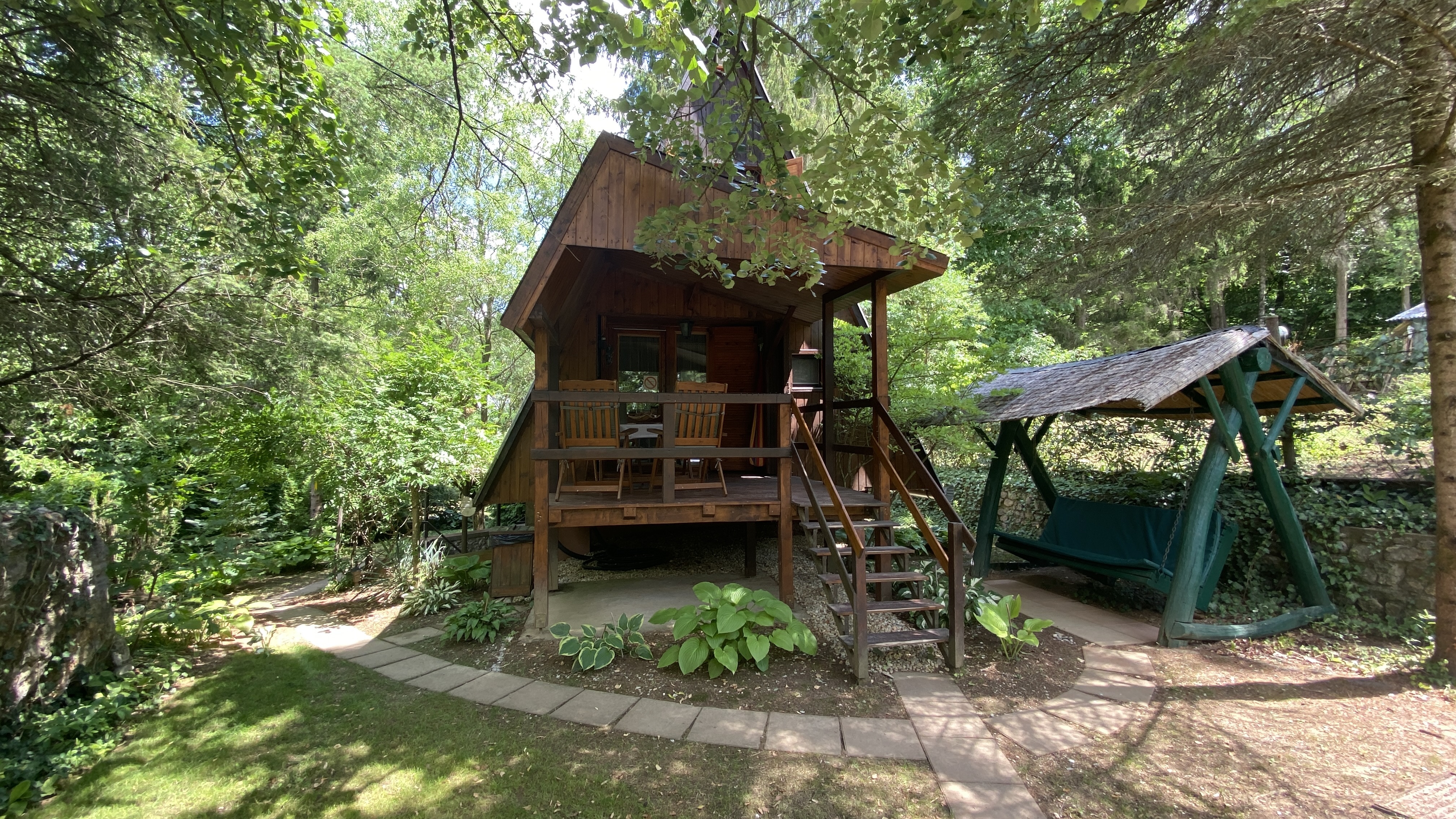 Erdei-lak faházikó Bélapátfalva