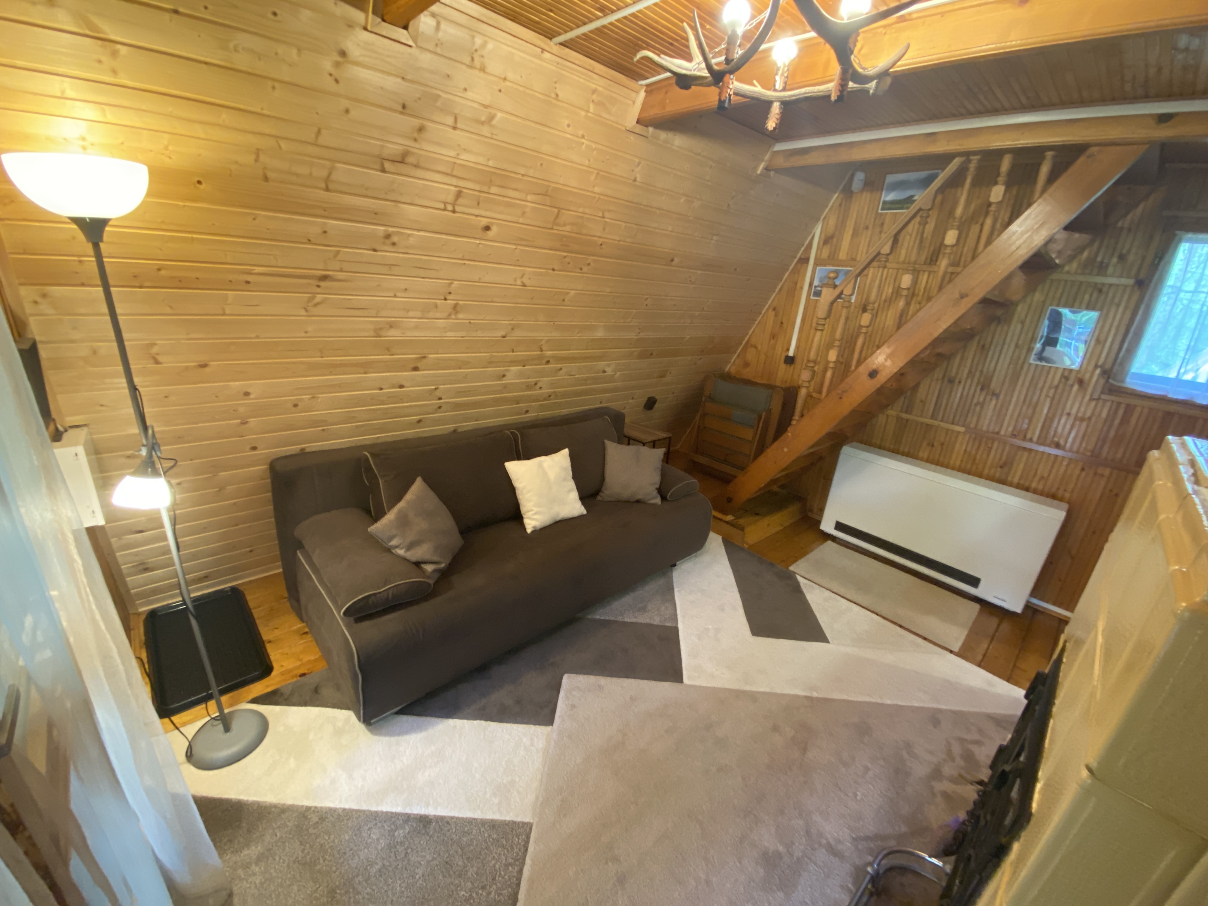 Erdei-lak faházikó Bélapátfalva