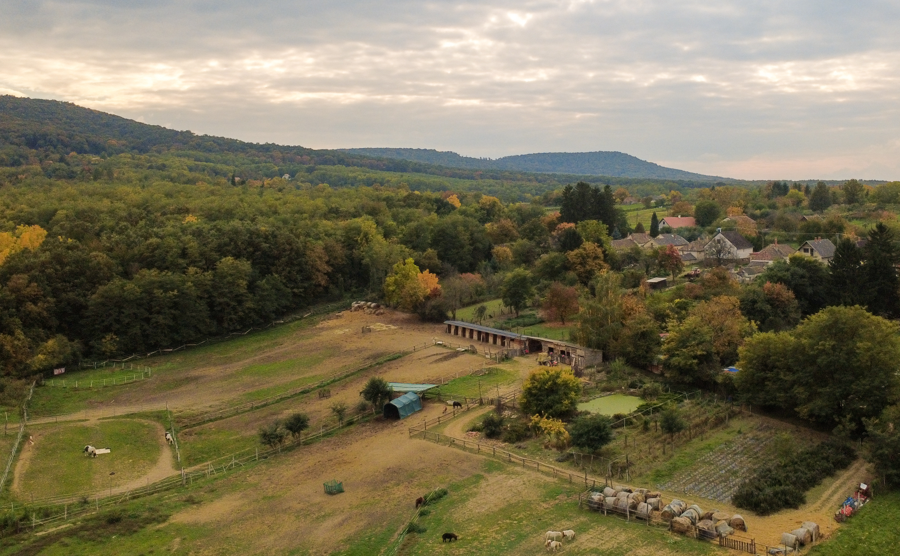 AnZsu Lovasudvar és Vendégház