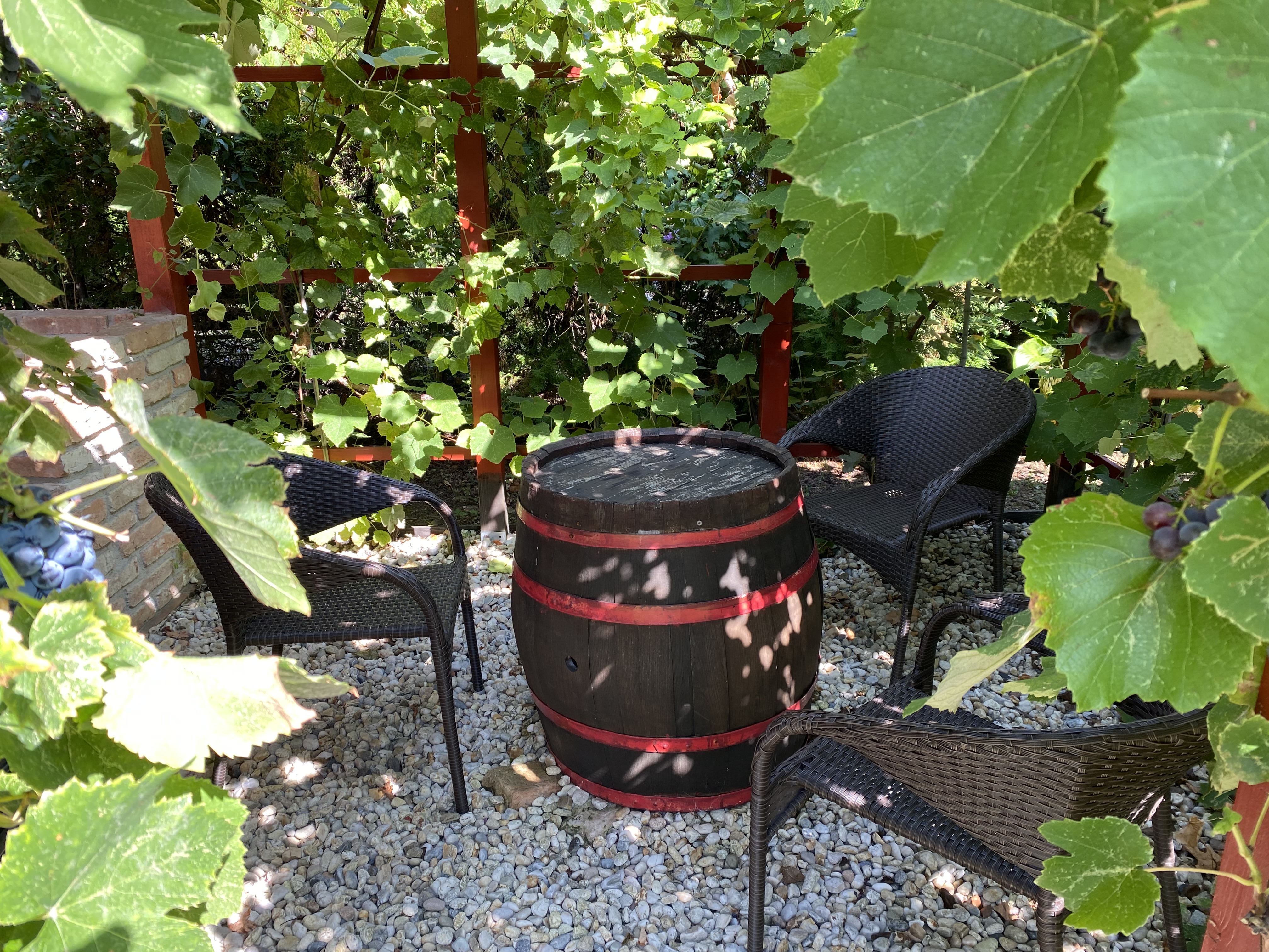 Villa Orchidea Balatonmáriafürdő