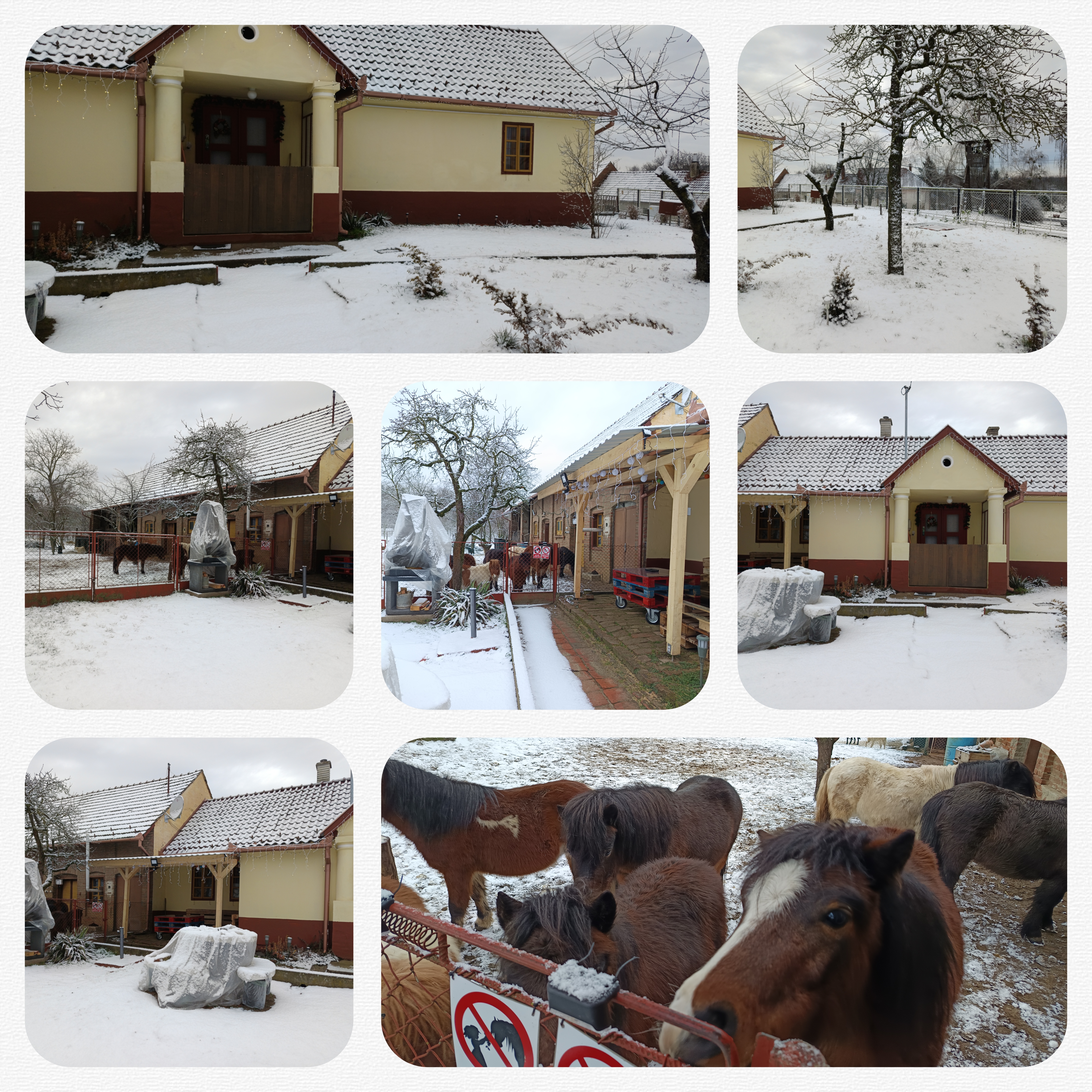 Póni Kuckó Vendégház és Minifarm