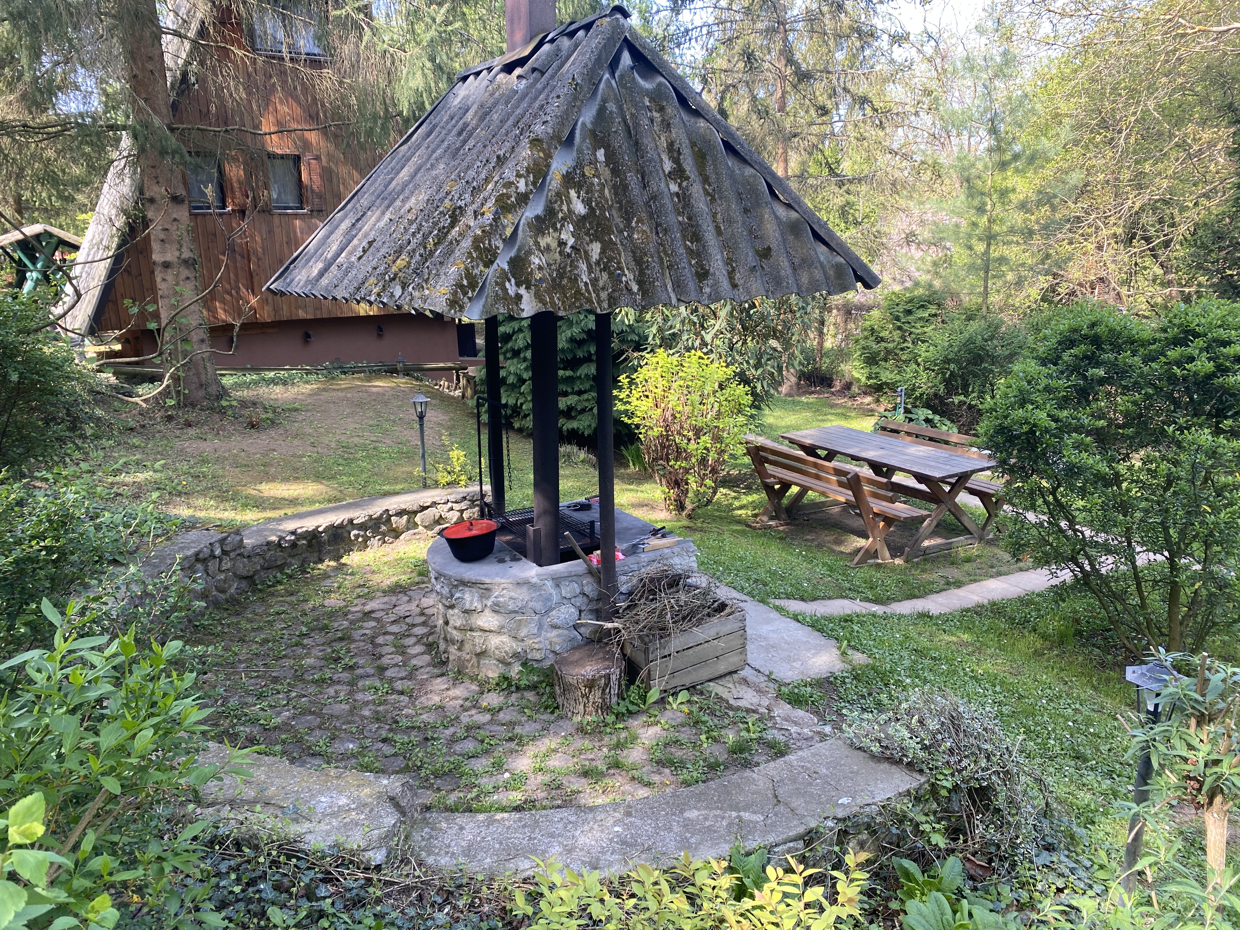 Erdei-lak faházikó Bélapátfalva