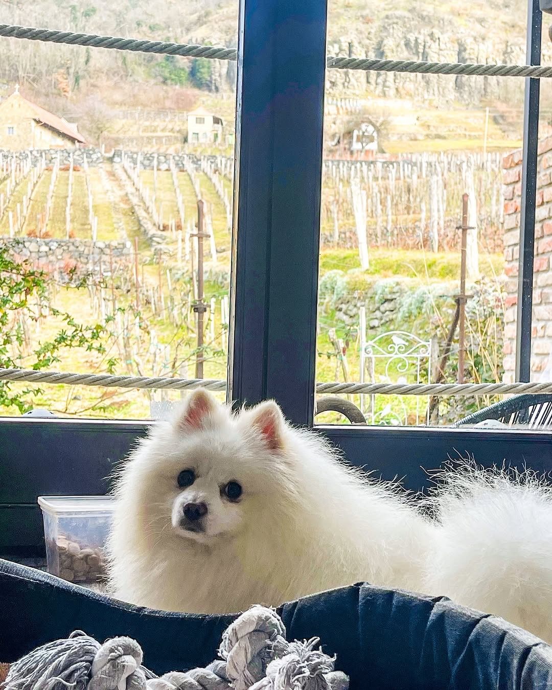 Csipke Somló Vendégház